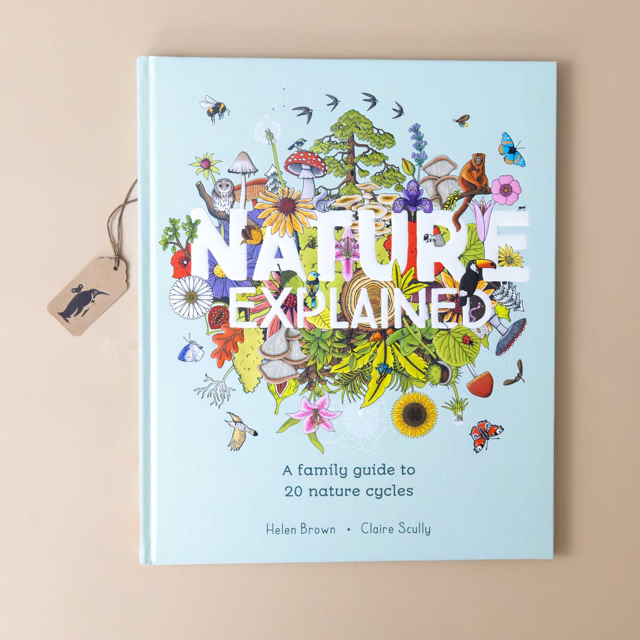 nature-explained-a-family-guide-to-20-nature-cycles-soft-blue-over-with-a-bundle-of-plants-animals-and-creatures