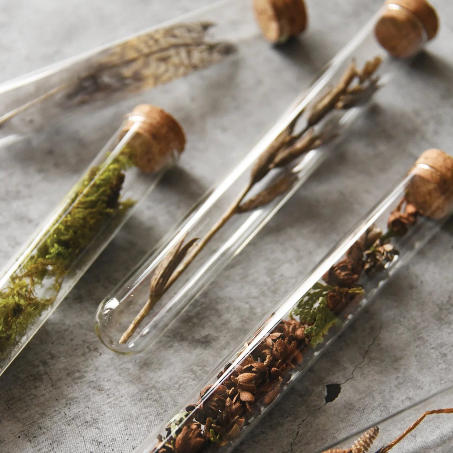 Three test tubes with cork lids containing dried plants and moss on a textured surface.