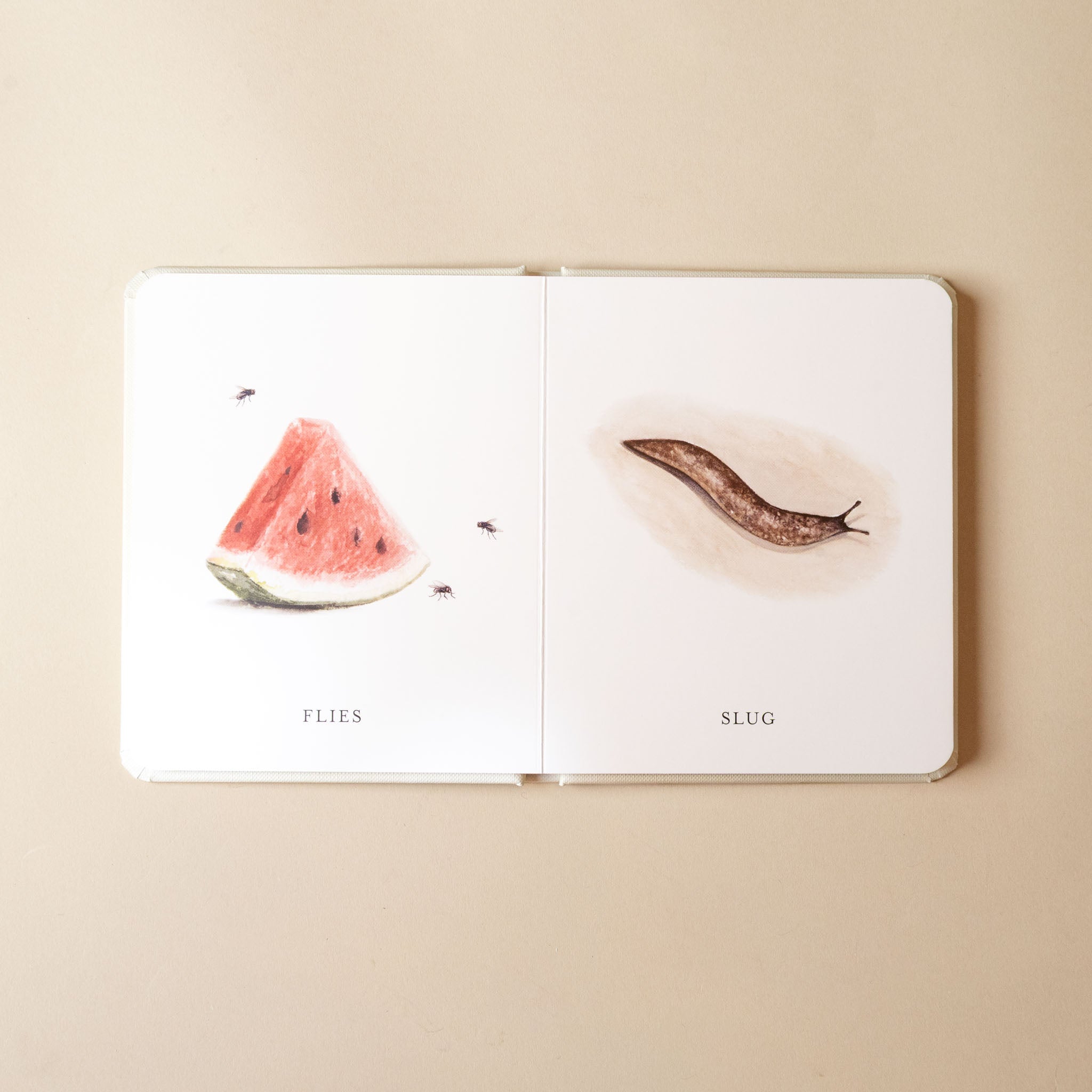 our-little-library-box-set--volume-iii-page-flies-and-slug-text-and- illustration-