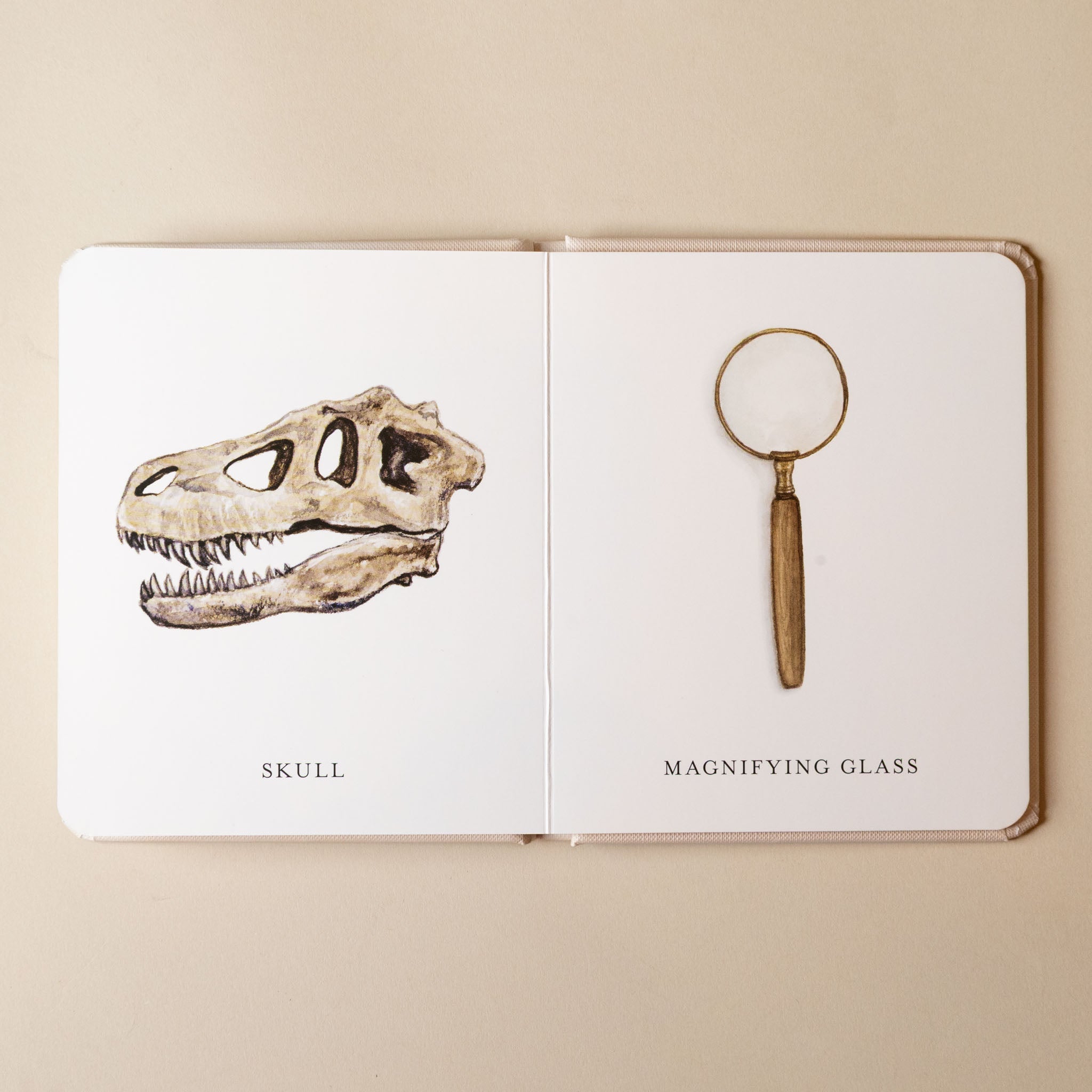 our-little-library-box-set--volume-iii-Open book with illustrations of a dinosaur skull and magnifying glass on beige background