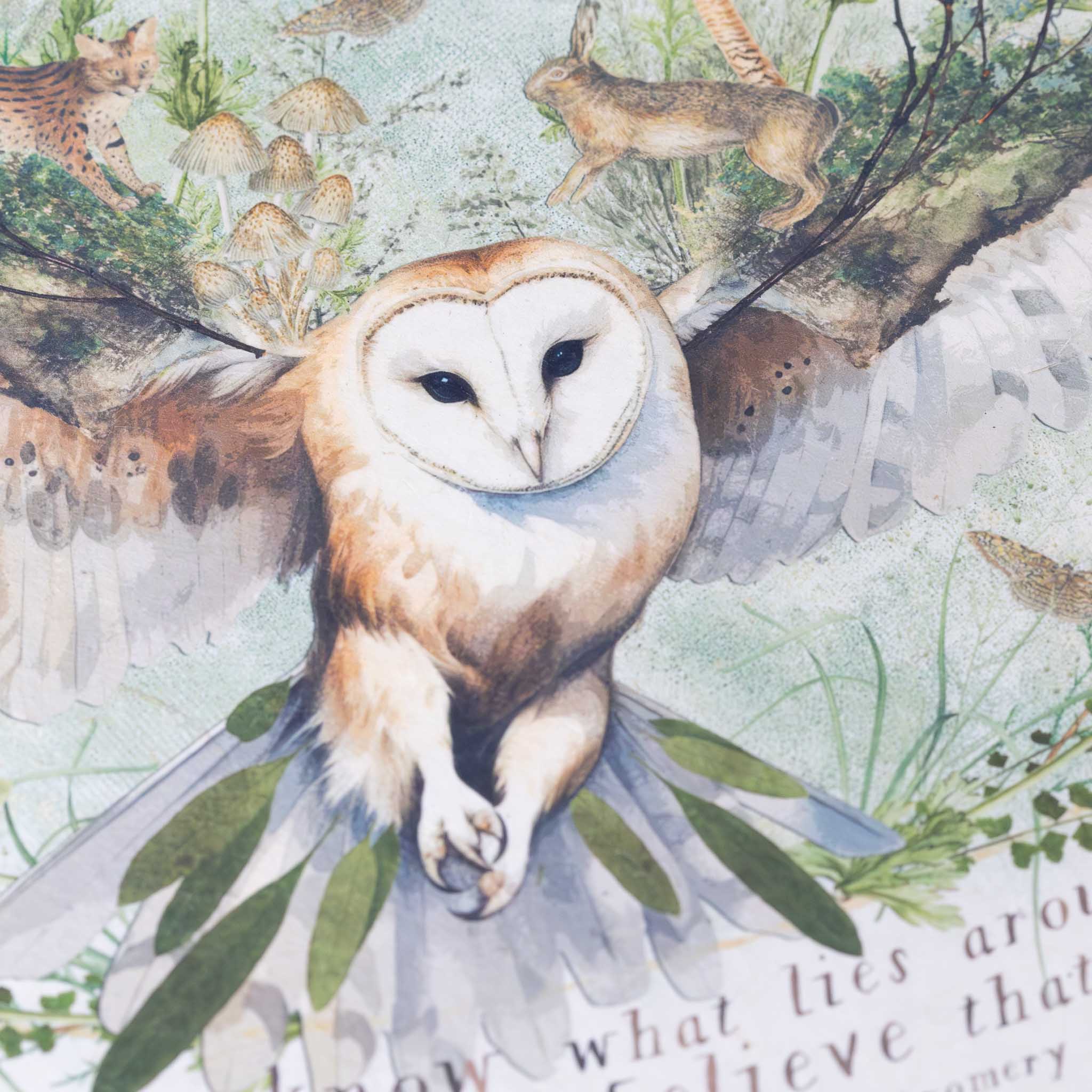 paper-print-around-the-bend-close-up-of-owl