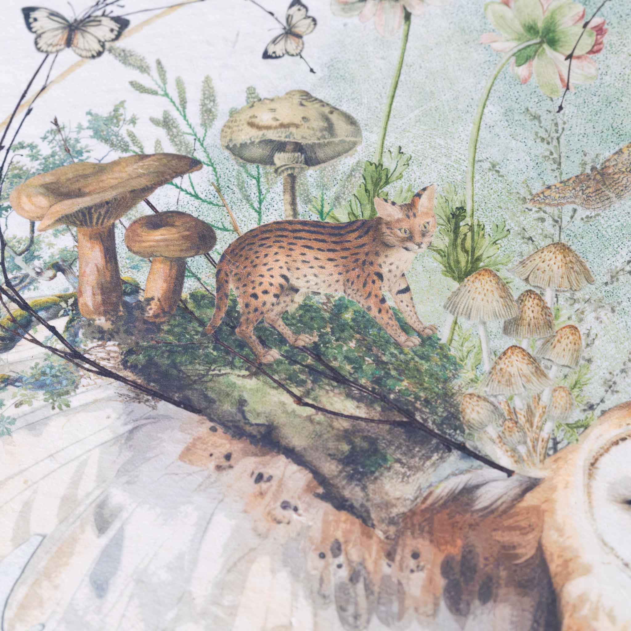 paper-print-around-the-bend-close-up-of-lynx