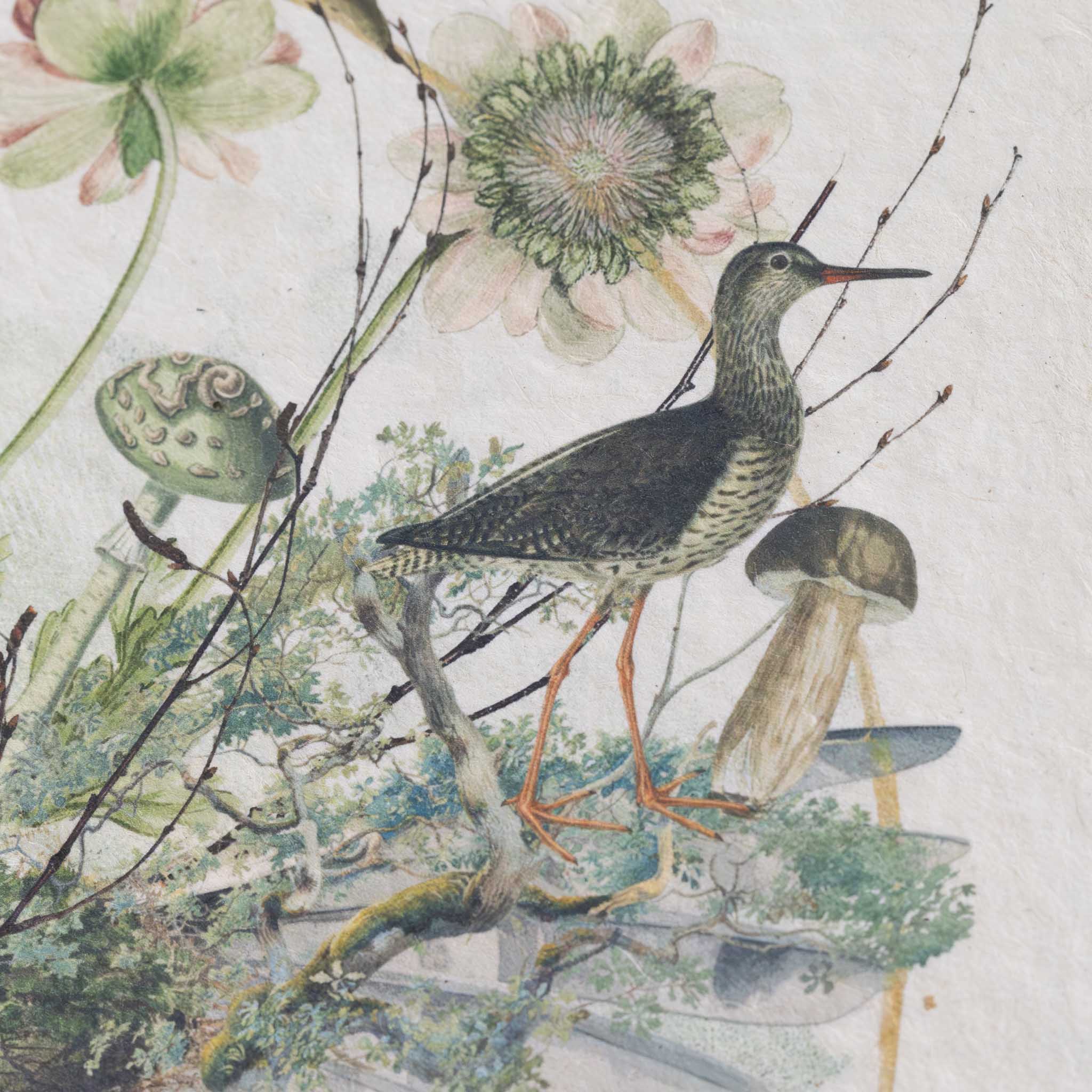 paper-print-around-the-bend-close-up-of-bird