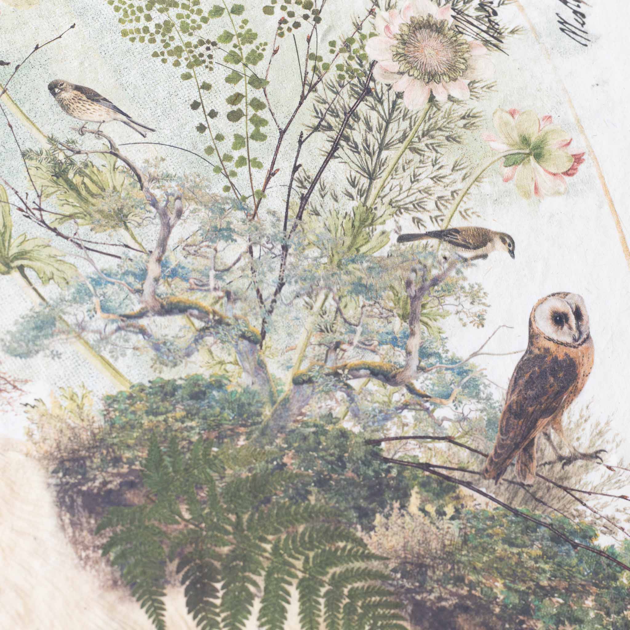 paper-print-beneath-your-feet-image-of-white-bird-owl-surrounded-by-ferns-and-foliage-with-script-text-in-antique-style