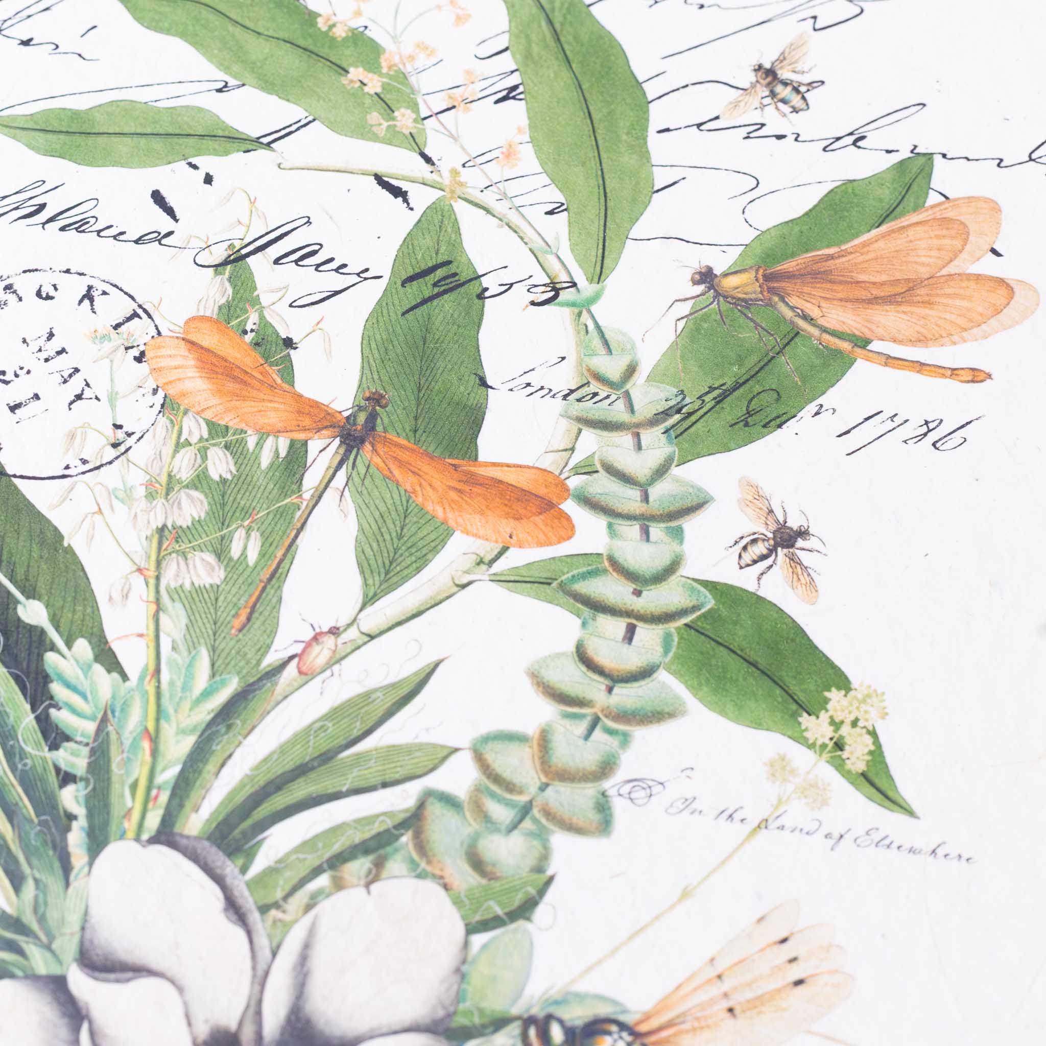 paper-print-enjoy-every-moment-print-of-armadillo-dragonfly-and-flora-and-fauna-along-with-old-style-script