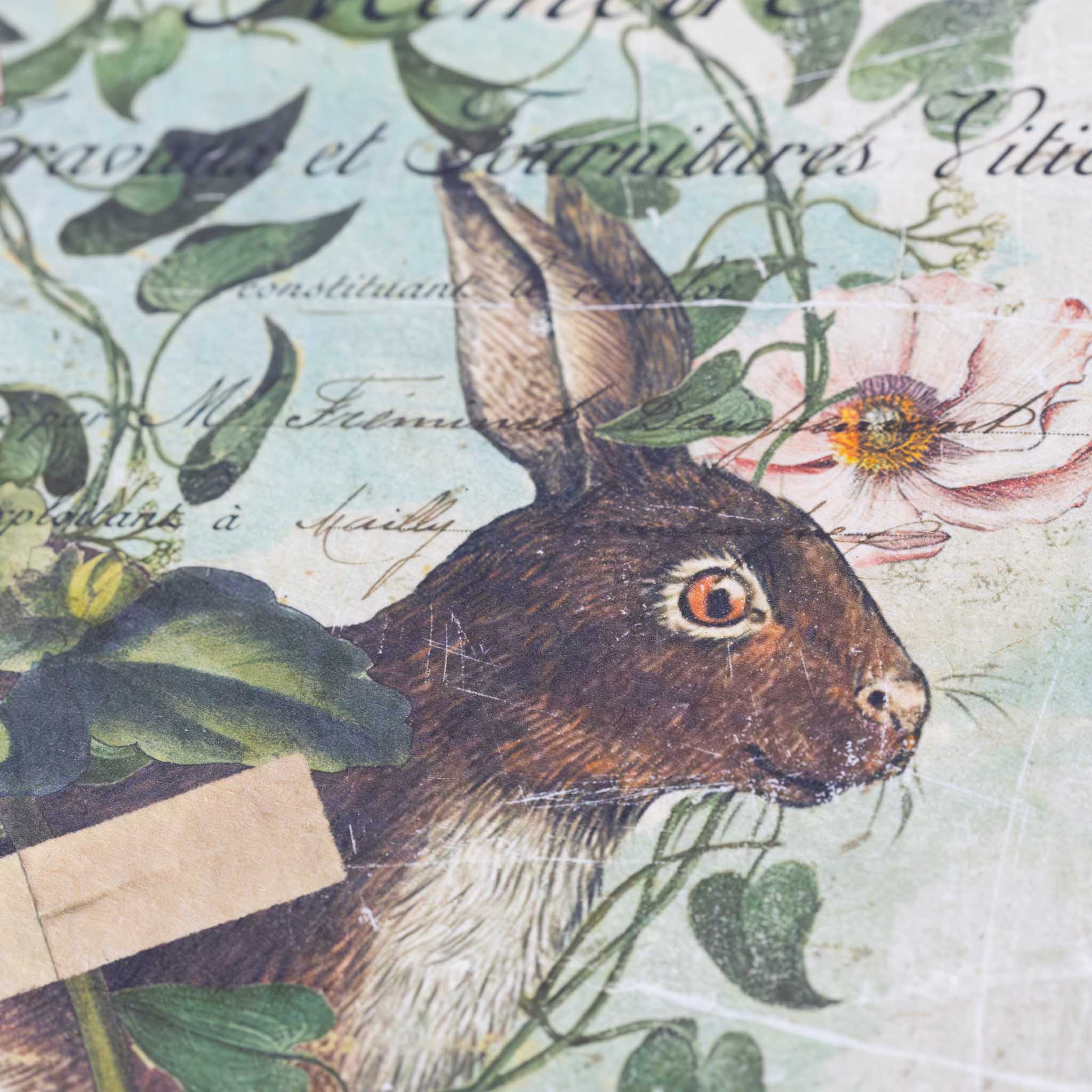 paper-print-imperfect-and-wonderful-image-of-rabbit-hopping-with-pink-rose-and-vines-around-and-script-text