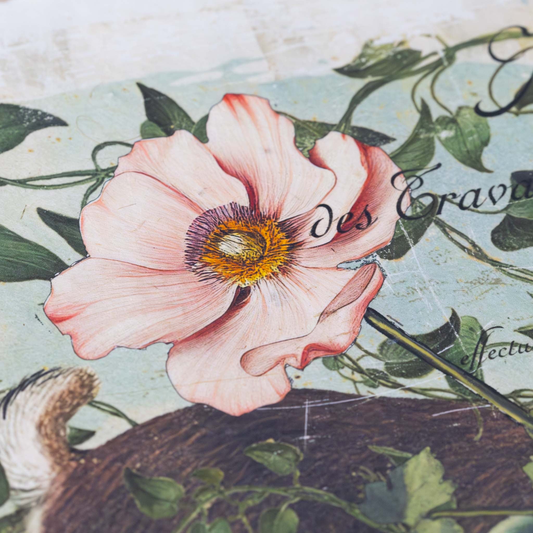 paper-print-imperfect-and-wonderful-image-of-rabbit-hopping-with-pink-rose-and-vines-around-and-script-text