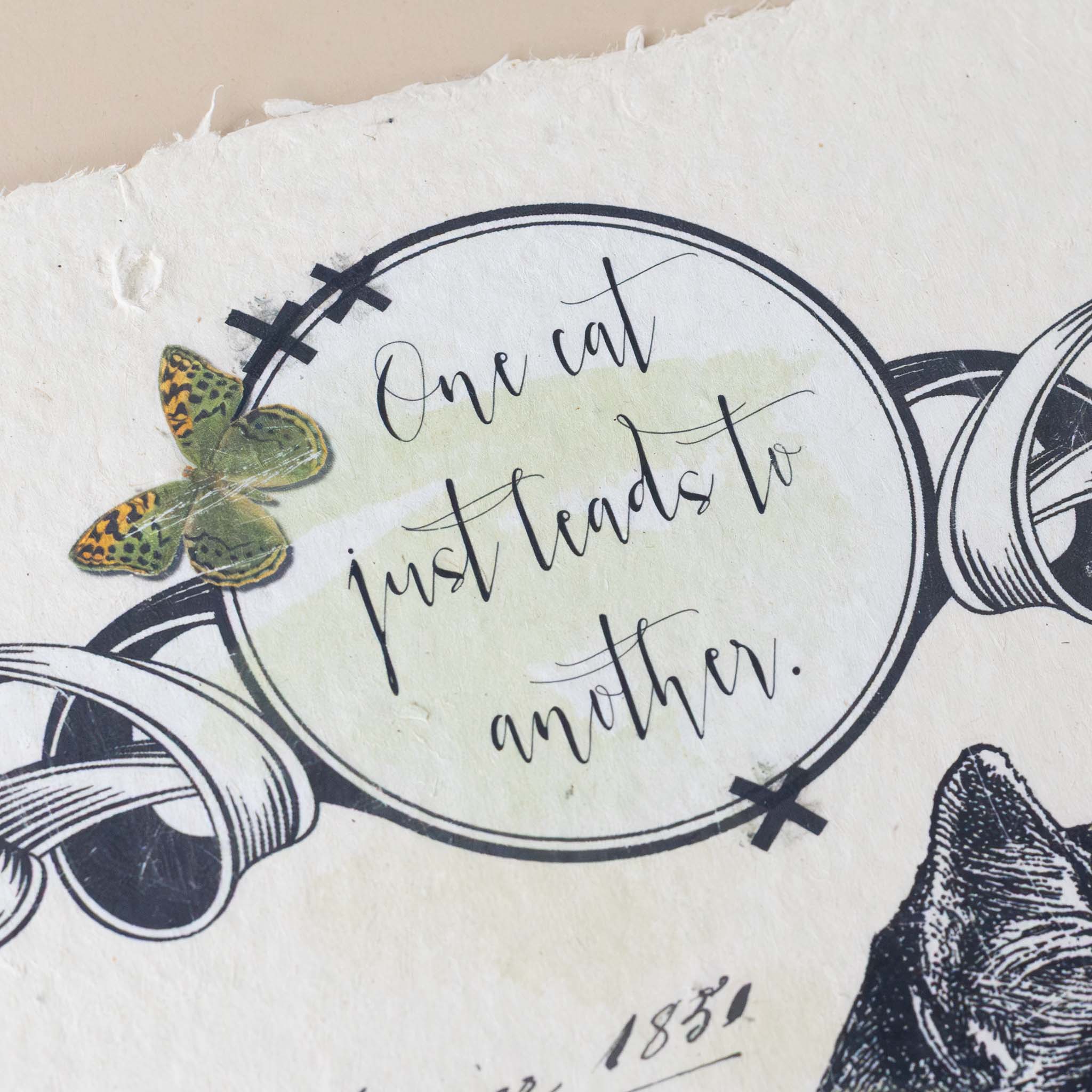 paper-print-one-cat-or-two-cat-image-with-flowers-and-butterflies-and-quote-one-cat-leads-to-another