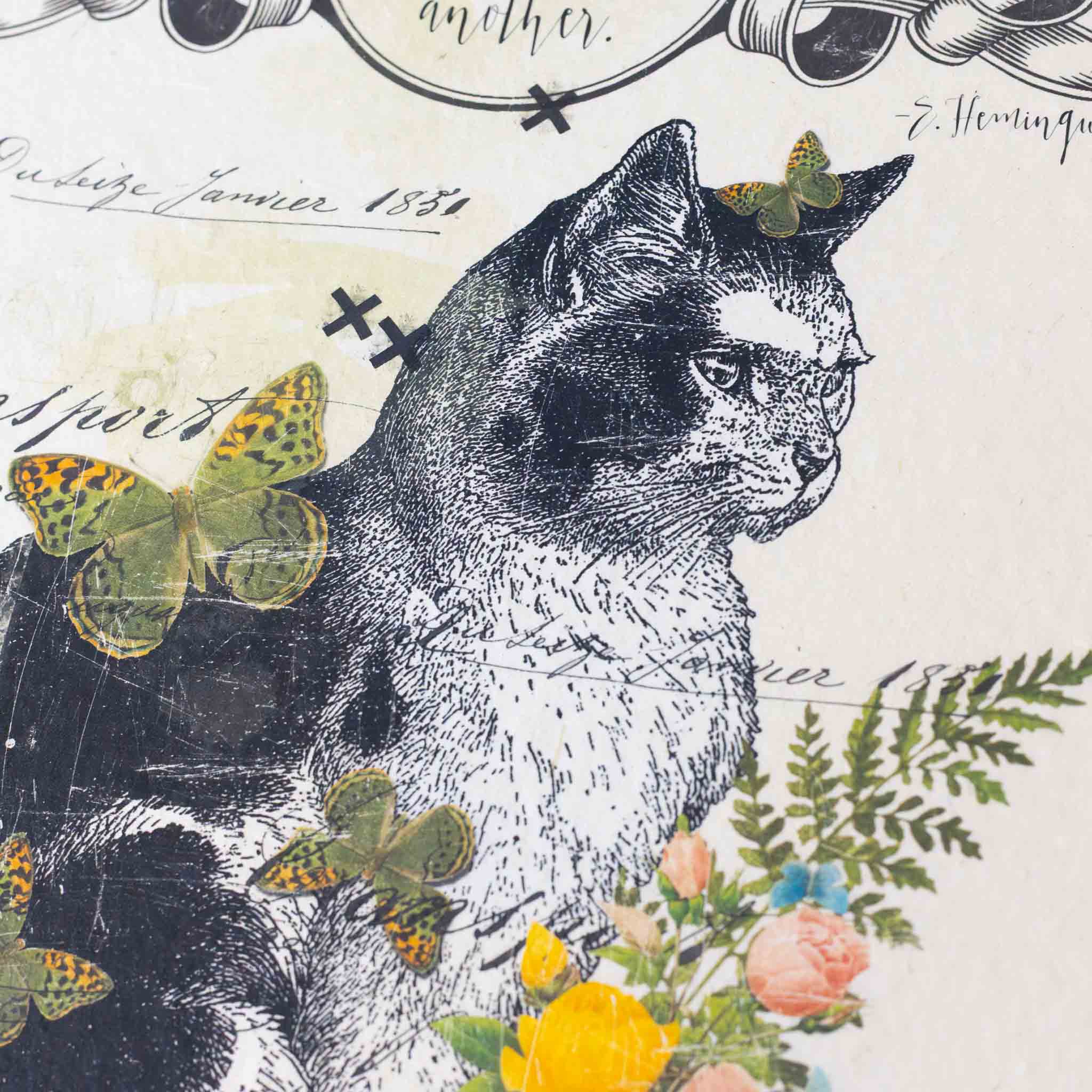 paper-print-one-cat-or-two-cat-image-with-flowers-and-butterflies-and-quote-one-cat-leads-to-another