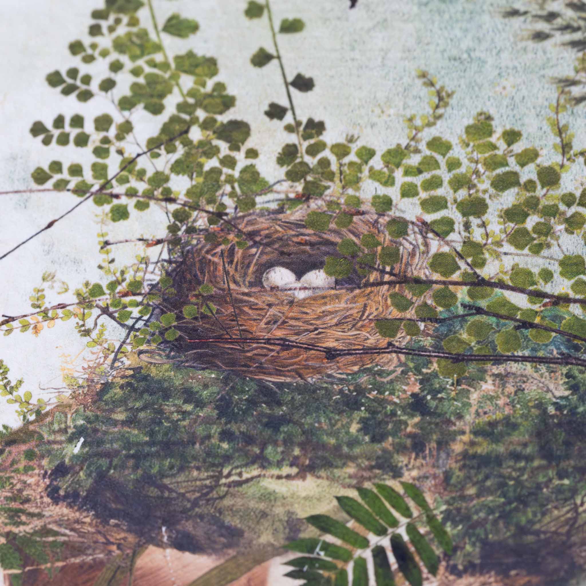 paper-print-watch-and-listen-deer-with-ring-of-ferns-and-linda-hogan-quote