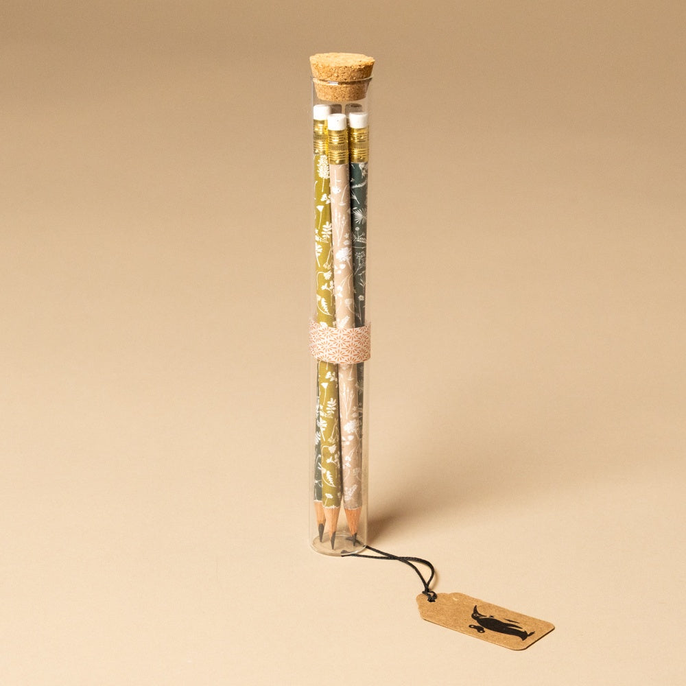 pencil-terrarium-element Set of pencils in a glass tube with a cork lid on a beige background