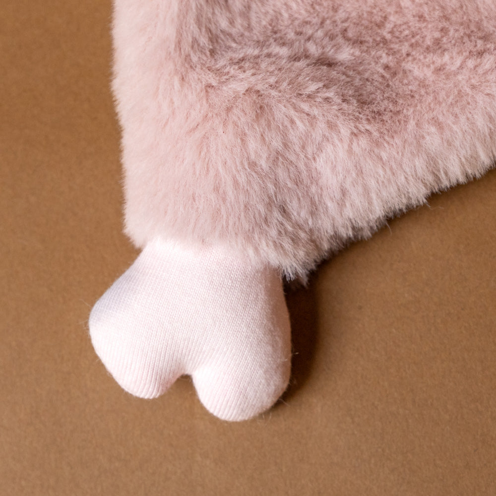 pig-piggie-lovie-paw