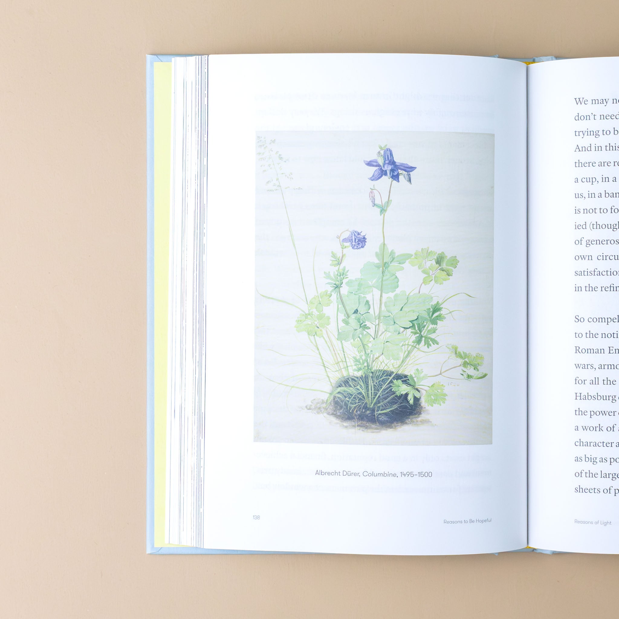 reasons-to-be-hopeful-book-immage-of-blue-flower