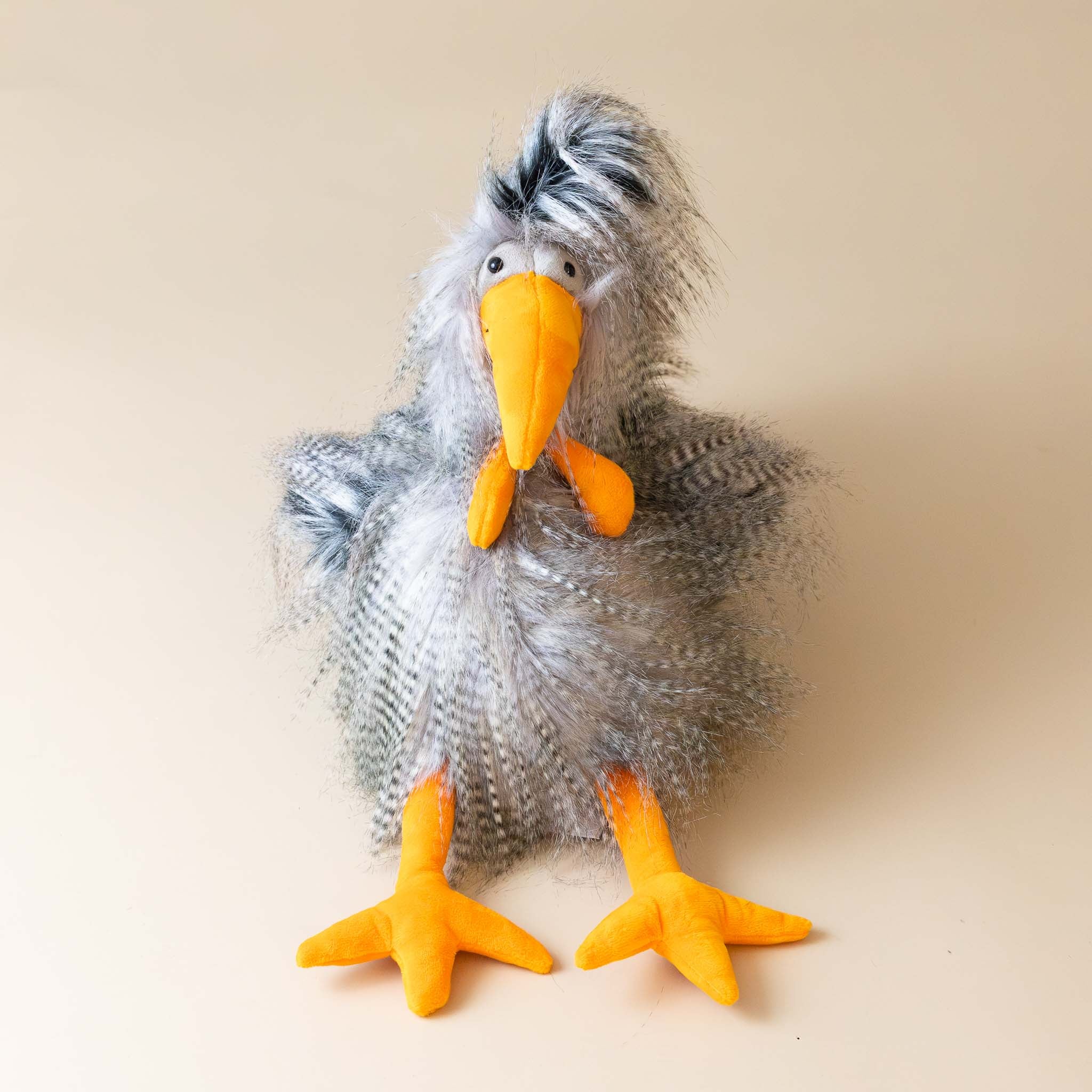 roost-boost-rooster-grey-plume-with-orange-beak-and-feet-front-