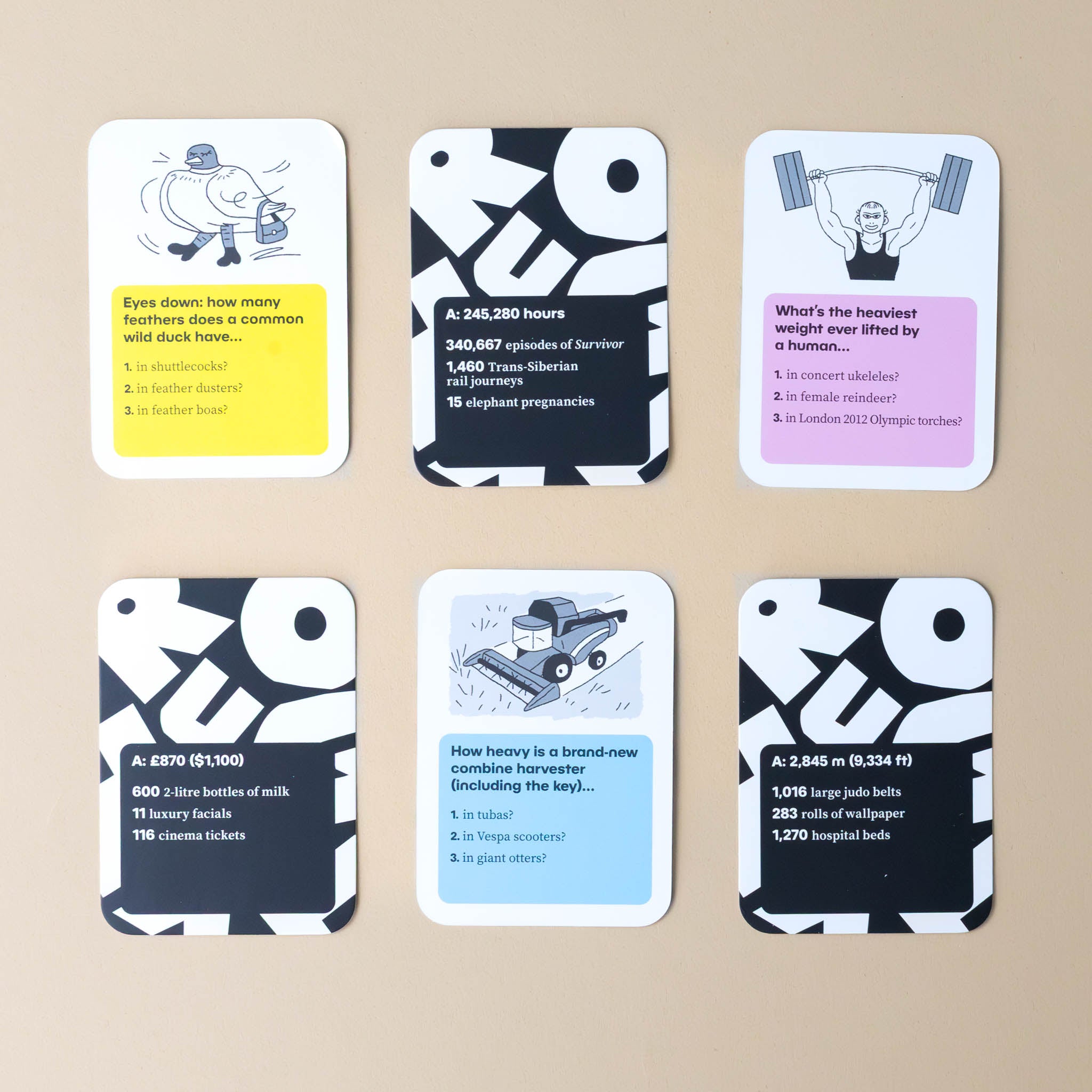 roughly-game-example-cards-eyes-down-how-many-feathers-does-a-common-water-duck-have-or-feather-duster