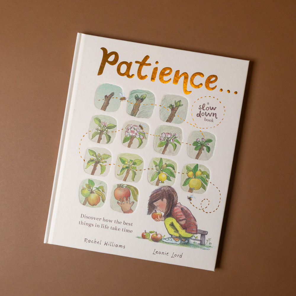 slow-down-box-set Book titled 'Patience' with illustrations on a brown background