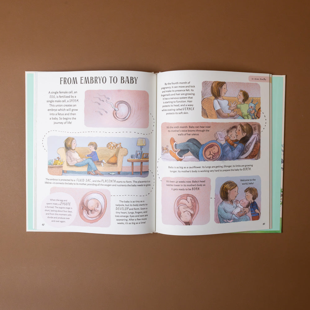slow-down-box-set Open book on a brown background with illustrations and text about pregnancy.