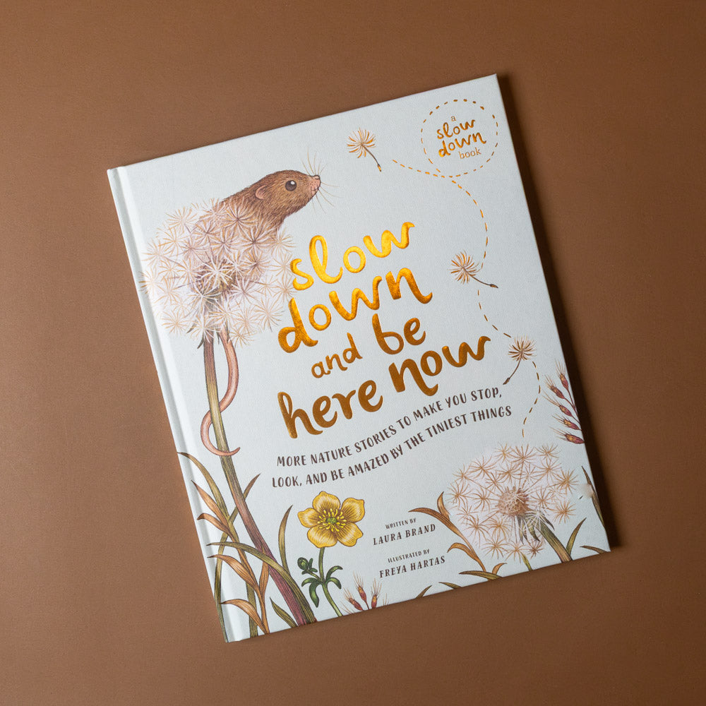 slow-down-box-set slow down and be here nowBook cover with floral design and text on a brown background