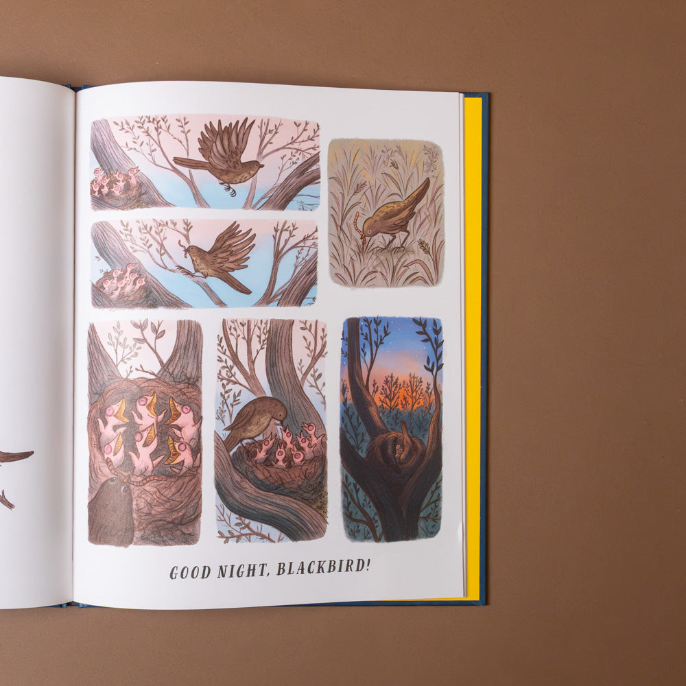 slow-down-box-set Open book with illustrations of birds and nature scenes on a brown background