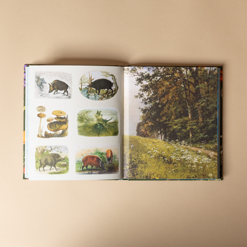 sticker-treasury-of-woodland-adventures Open book showing illustrations of animals and nature on a beige background