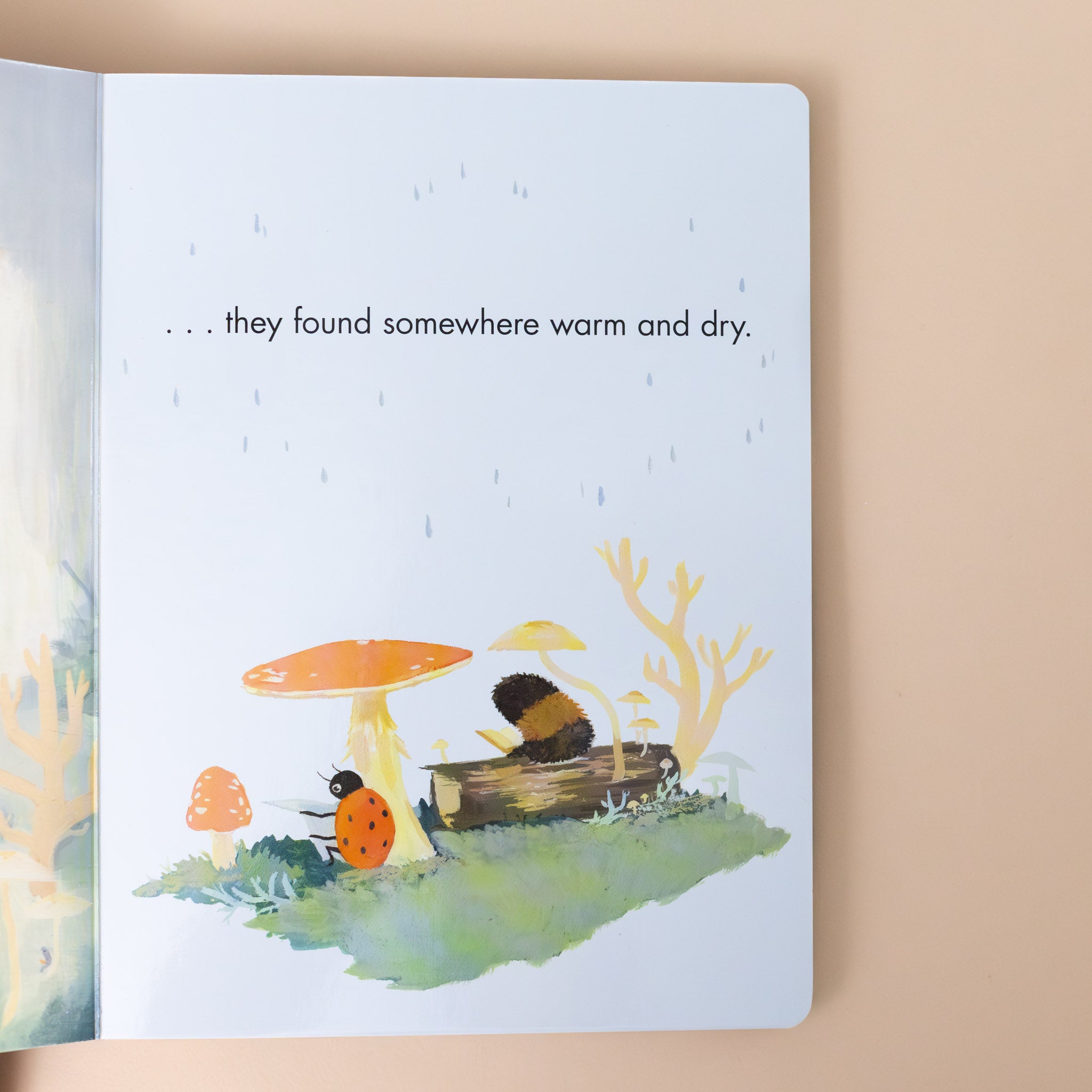 image-of-ladybug-and-catepiller-under-mushrooms-in-the-rain-with-text-they-found-somewhere-warm-and-dry