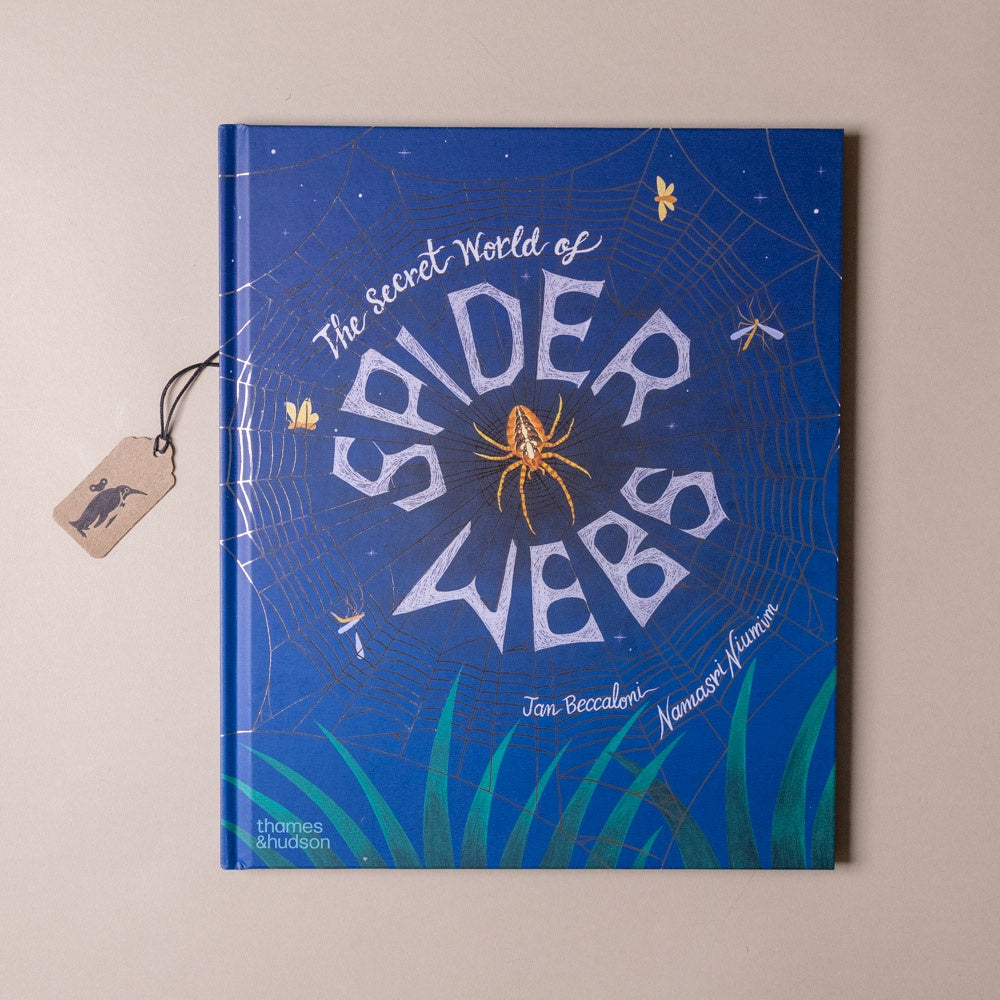 Book titled 'The Secret World of Spider Webs' with spider illustrations on a blue background.