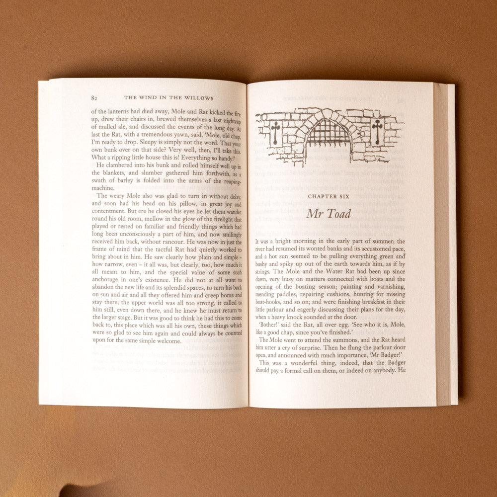 the-wind-in-the-willows--exclusive-edition Open book with text and a drawing on a brown background