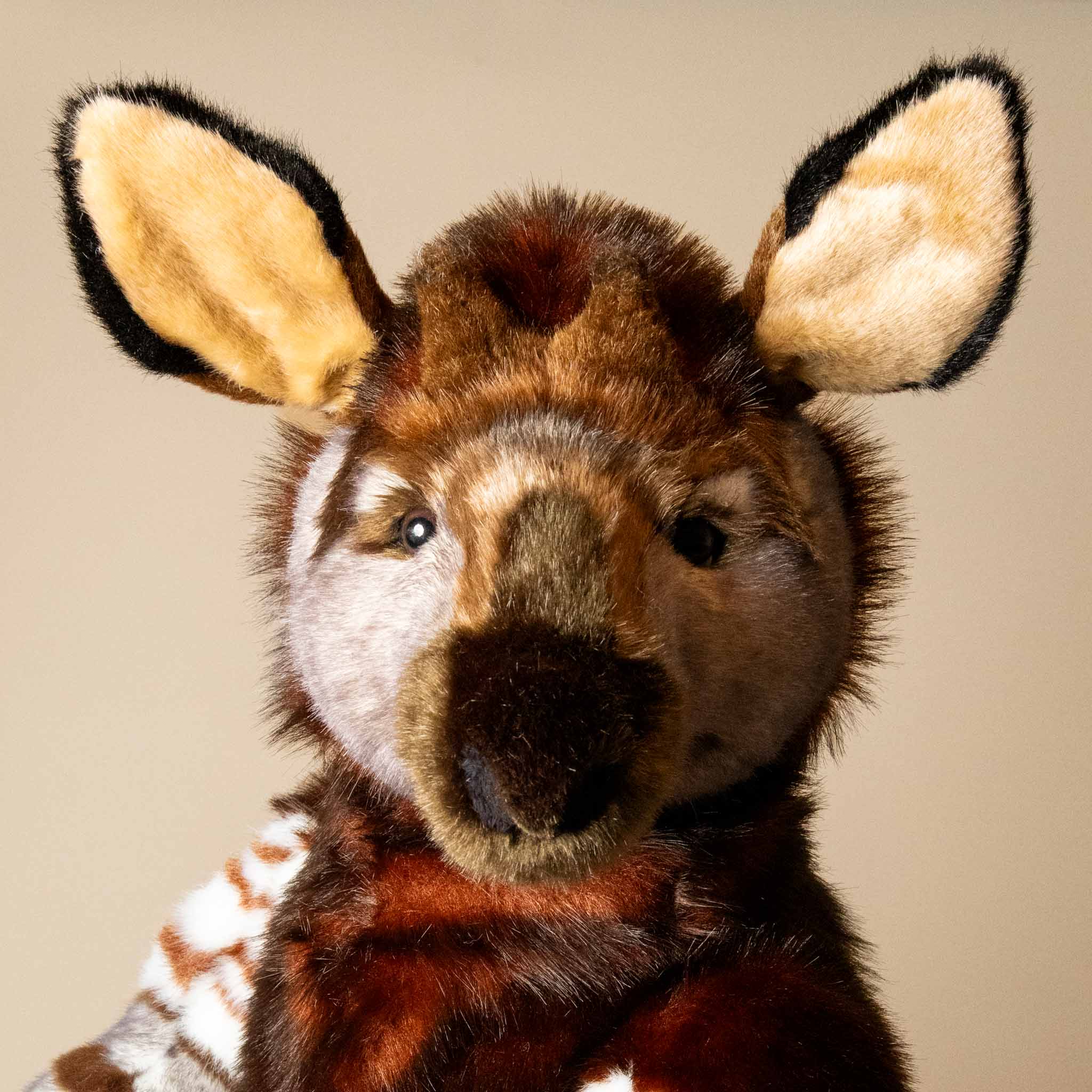 trailblazer-the-traveling-okapi-standing-stuffed-animal-face