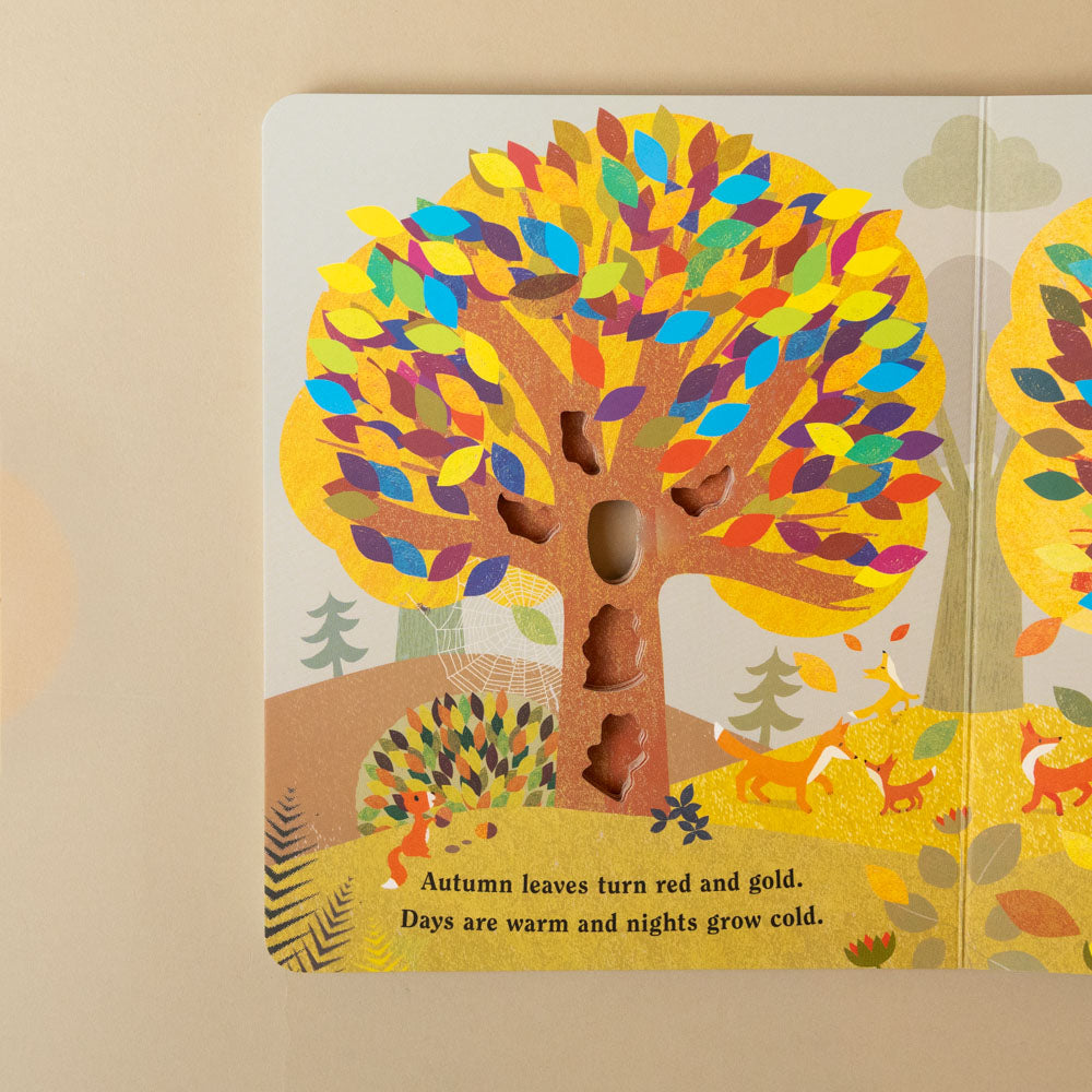 tree-a-peek-through-board-book-open-page-to-autumn-tree-with-text