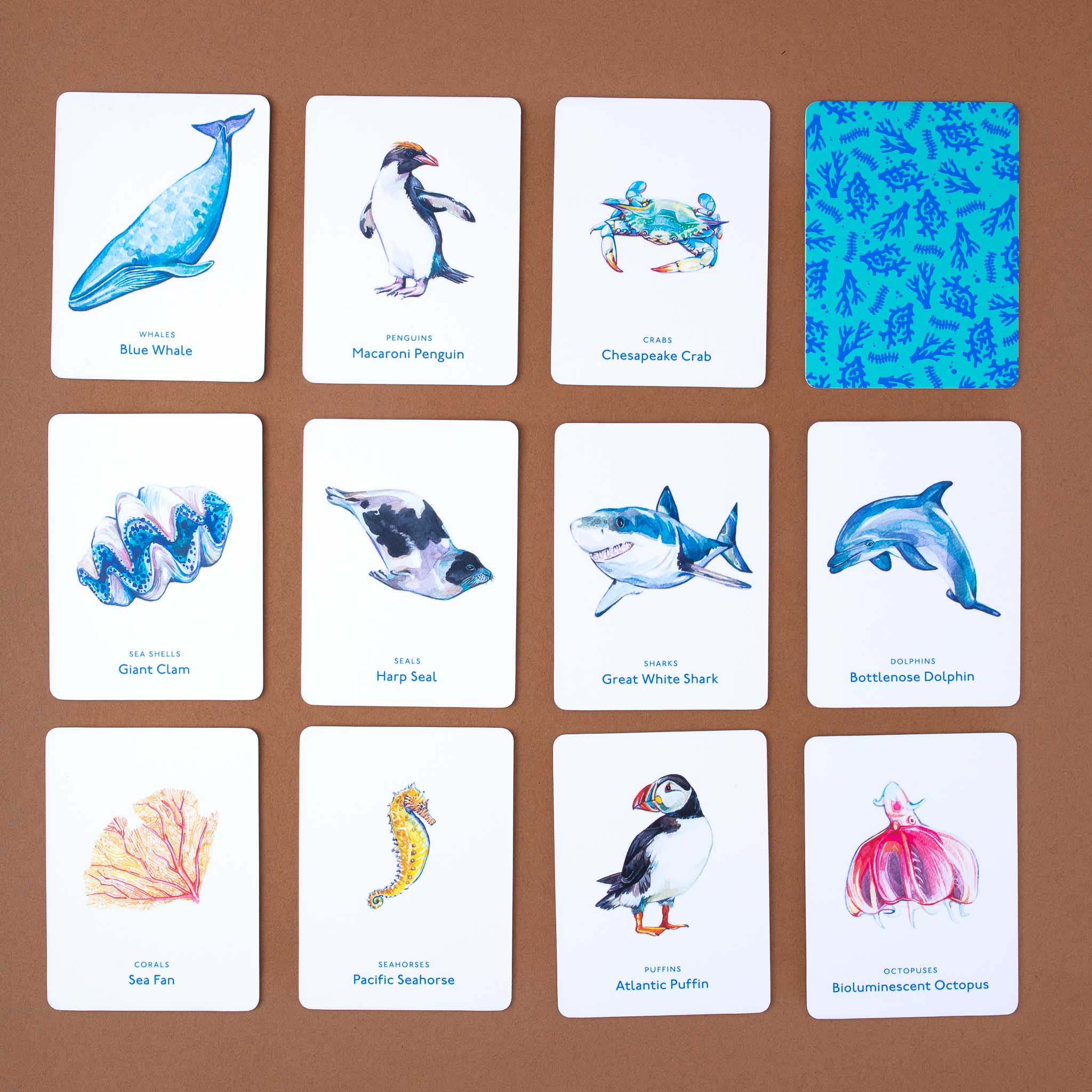 watercolor illustred cards from Under the Sea | an Ocean Memory Game