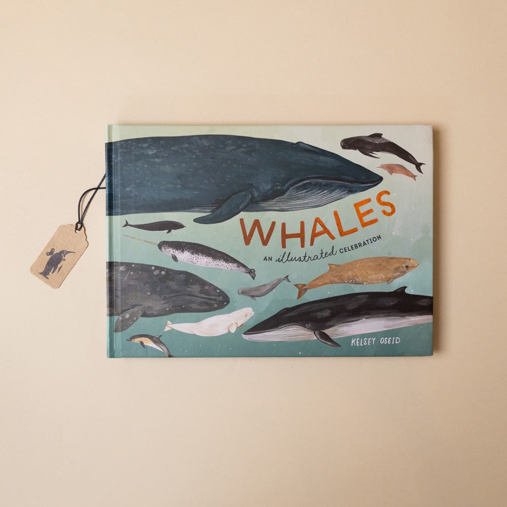 Book titled 'Whales' with illustrations of whales on a beige background