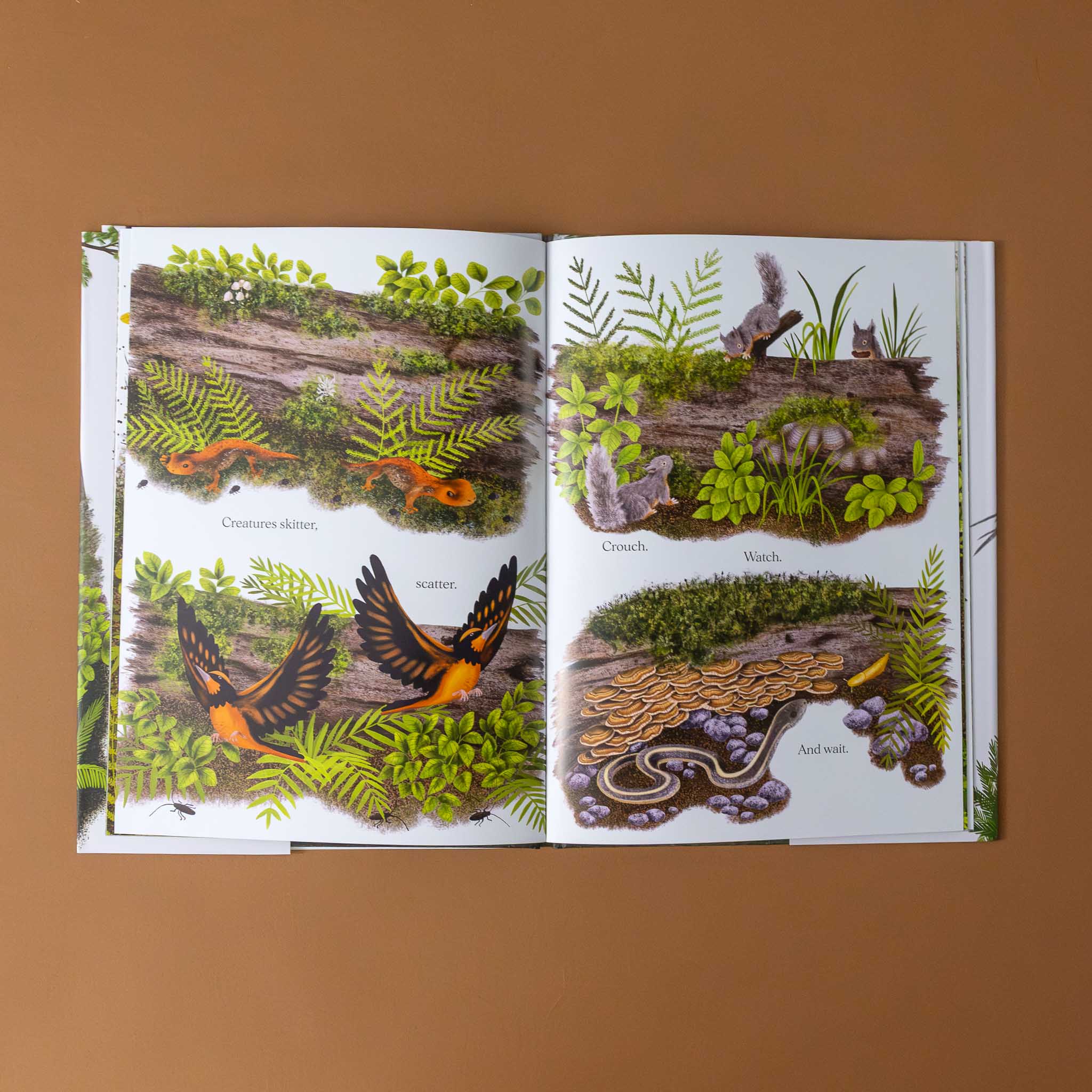 when-a-tree-falls-illustration-pages-of-fallen-tree-in-forest-with-plants-fungi-and-animal-around-and-text-identifying-them