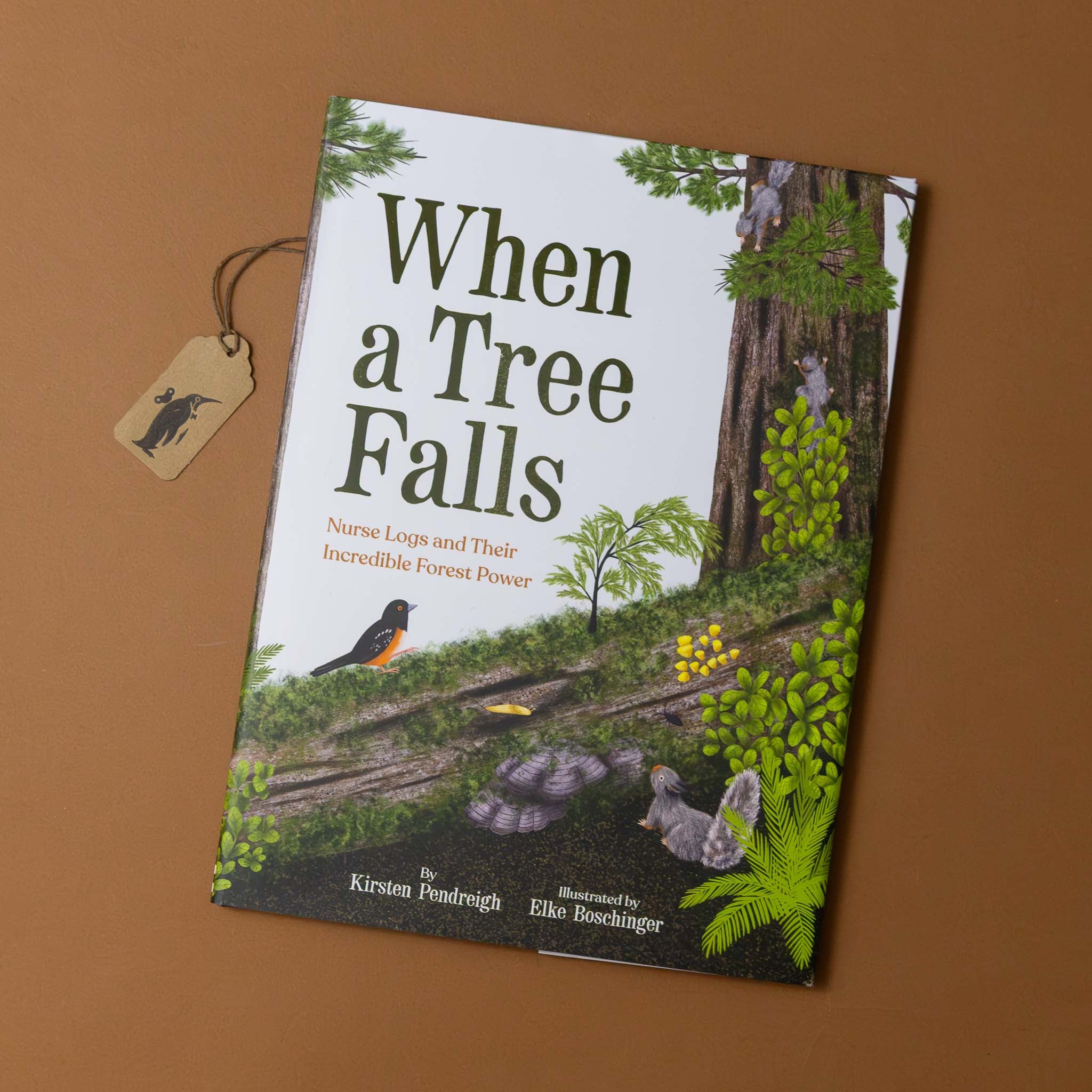 when-a-tree-falls-cover-of-fallen-tree-in-forest-with-plants-fungi-and-animal-around