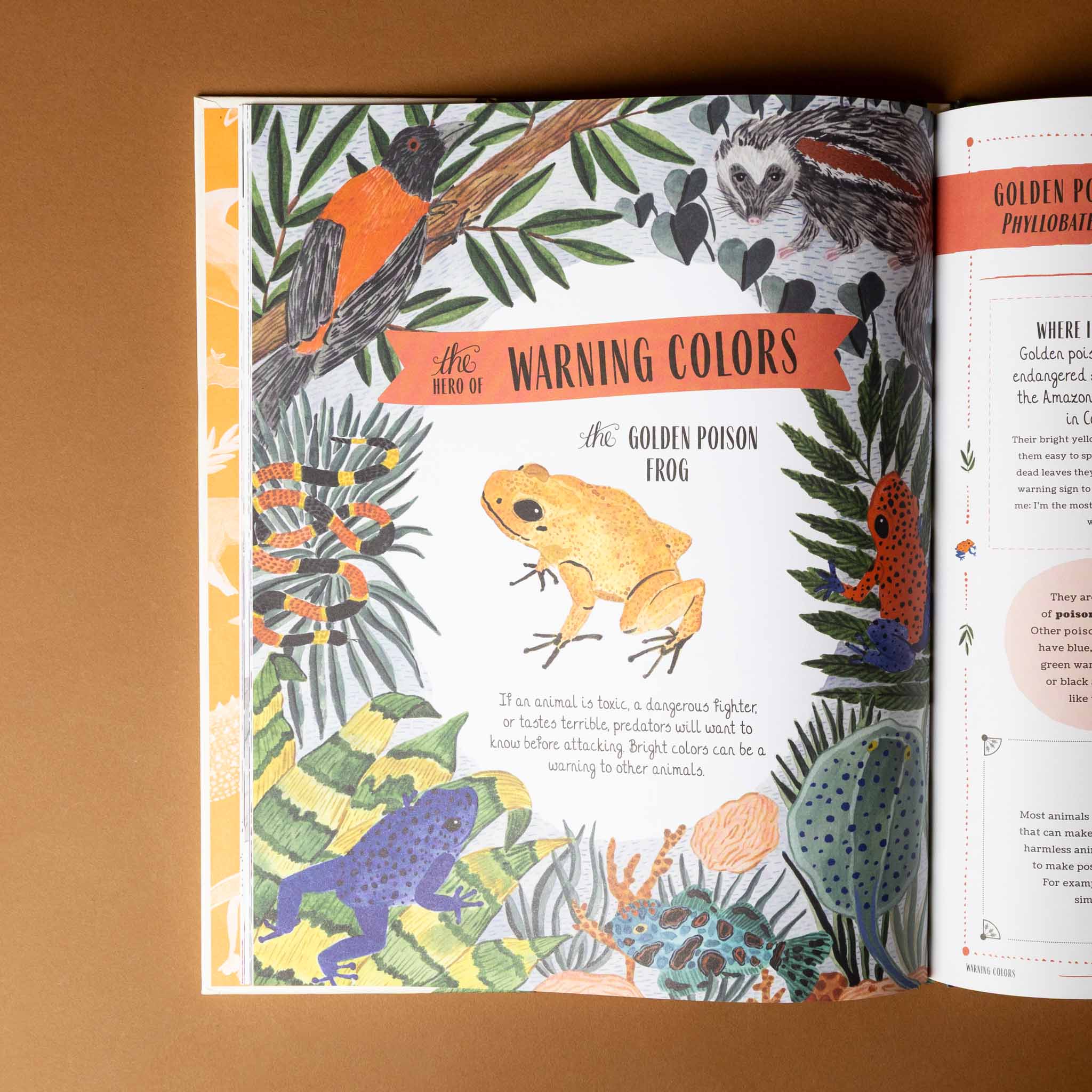 wild-a-family-guide-to-the-animal-kingdom-open-page-to-warning-colors-with-illustration-of-the-golden-poison-frog
