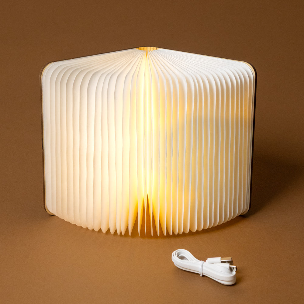 wooden-book-light-maple