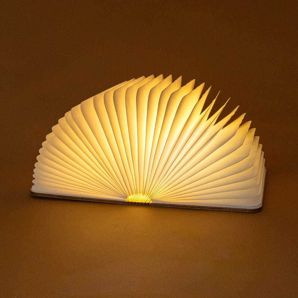 wooden-book-light-maple