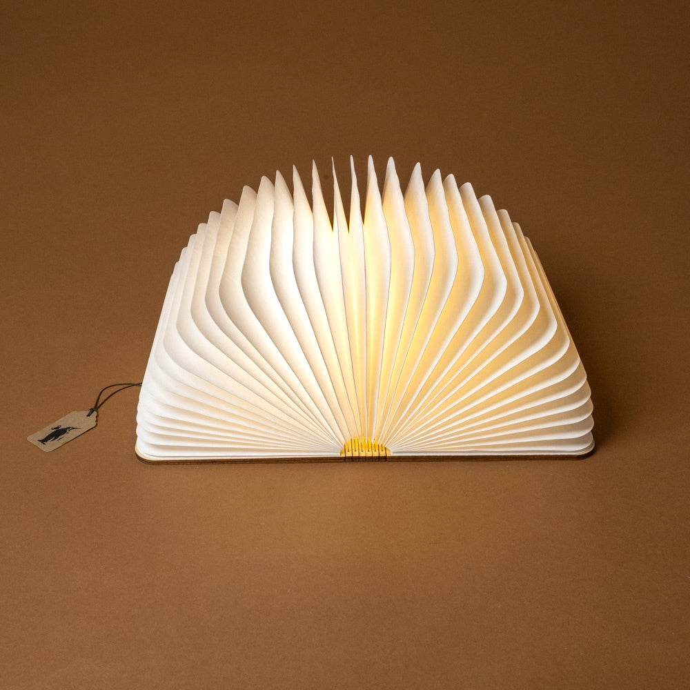 wooden-book-light-maple