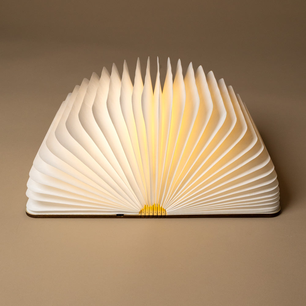 wooden-book-light-walnut