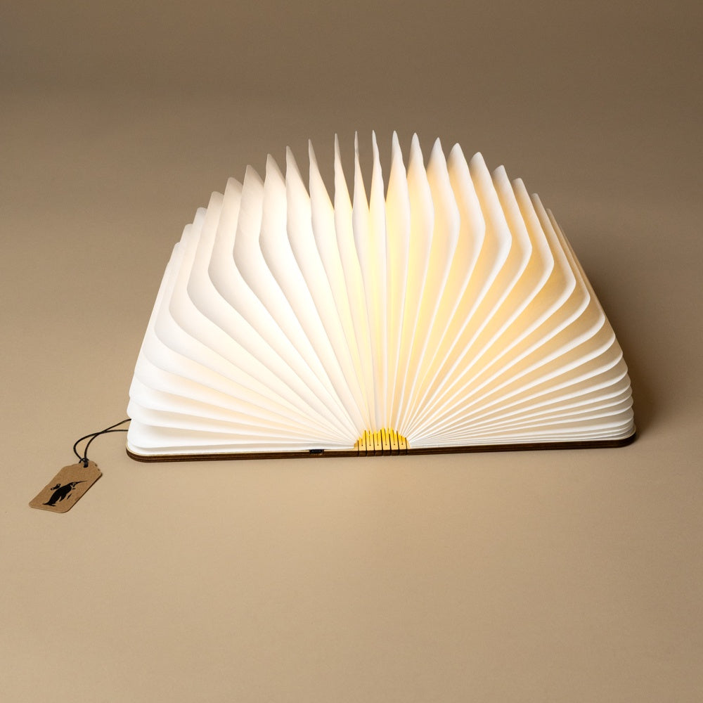 wooden-book-light-walnut