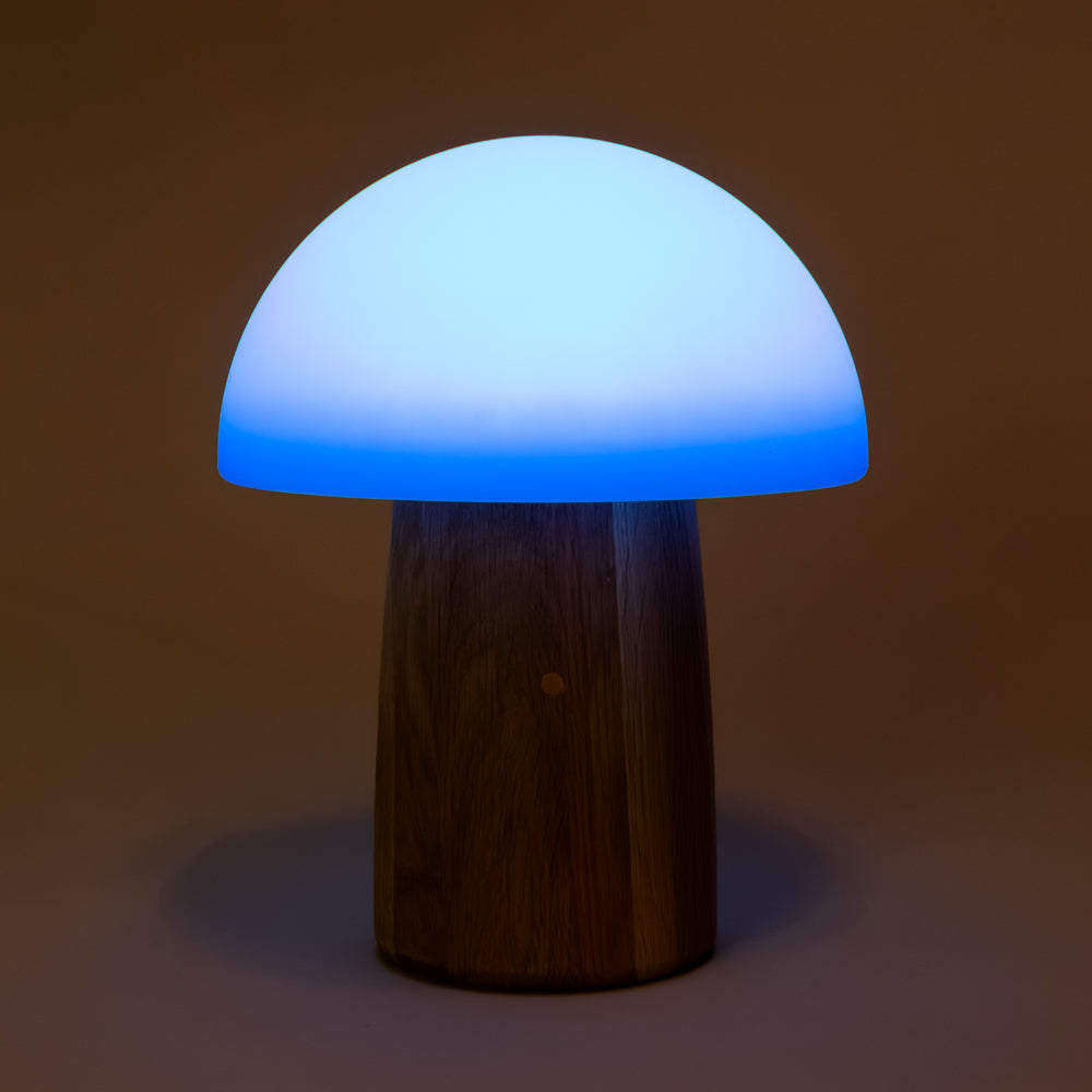 wooden-mushroom-lamp-ash with a wooden base and blue light on a brown background
