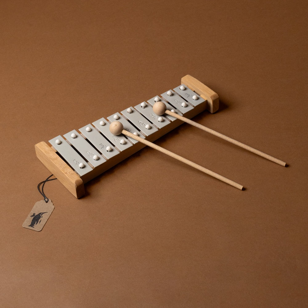 Wooden xxylophone-10-note with two mallets on a brown background