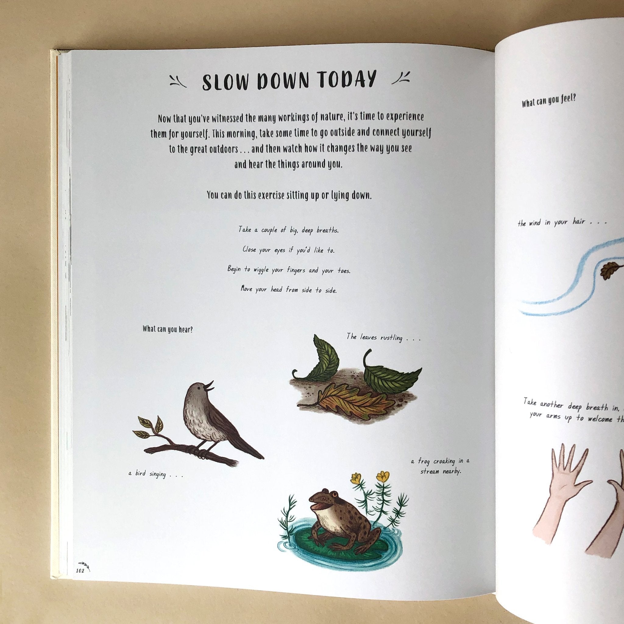 inside-page-of-slow-down-50-mindful-moments-in-nature