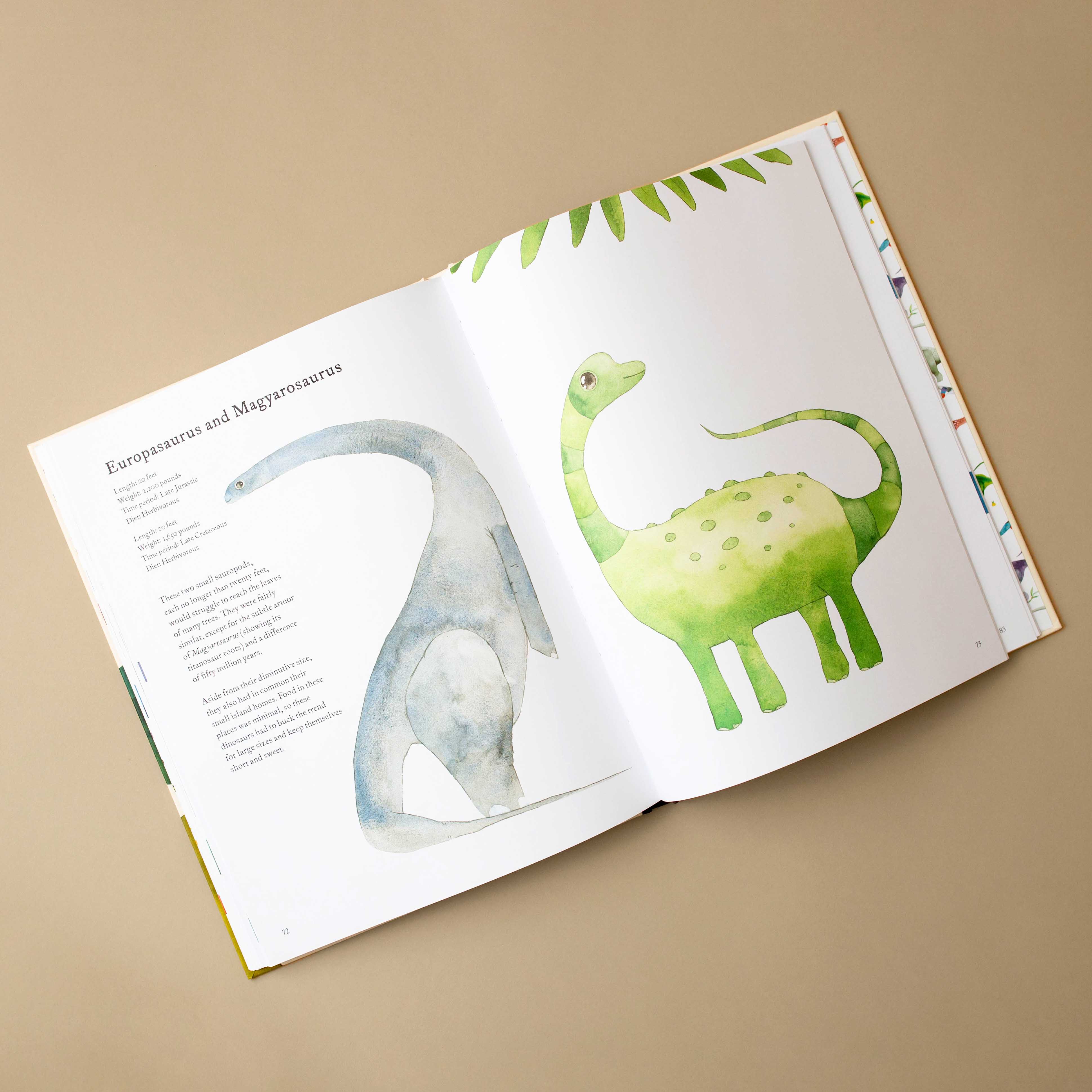 inside-page-of-watercolor-dino-illustrations-and-information