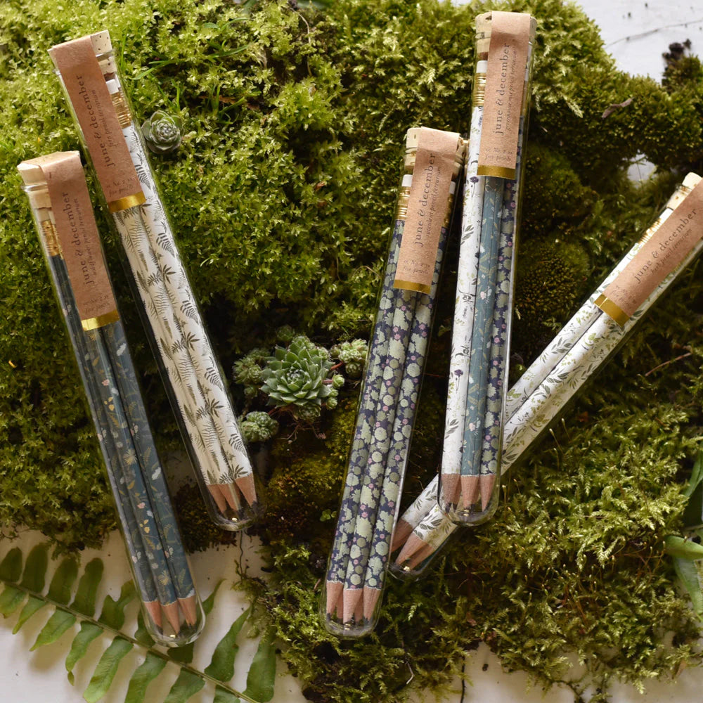 Set of patterned pencils on a background of green moss and plants