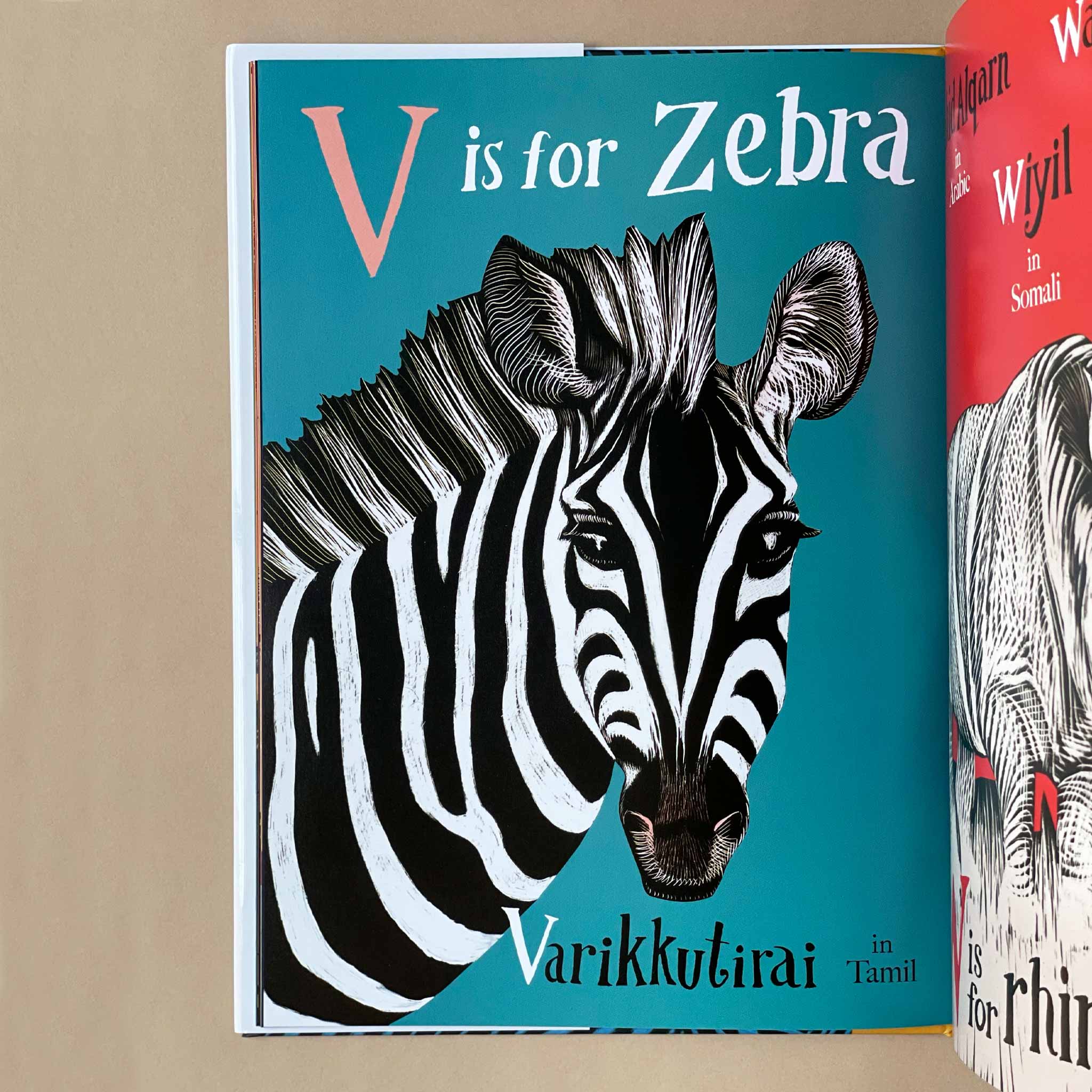 a-is-for-bee-an-alphabet-in-translation-Book page of 'V is for Zebra' with a zebra illustration on a teal background