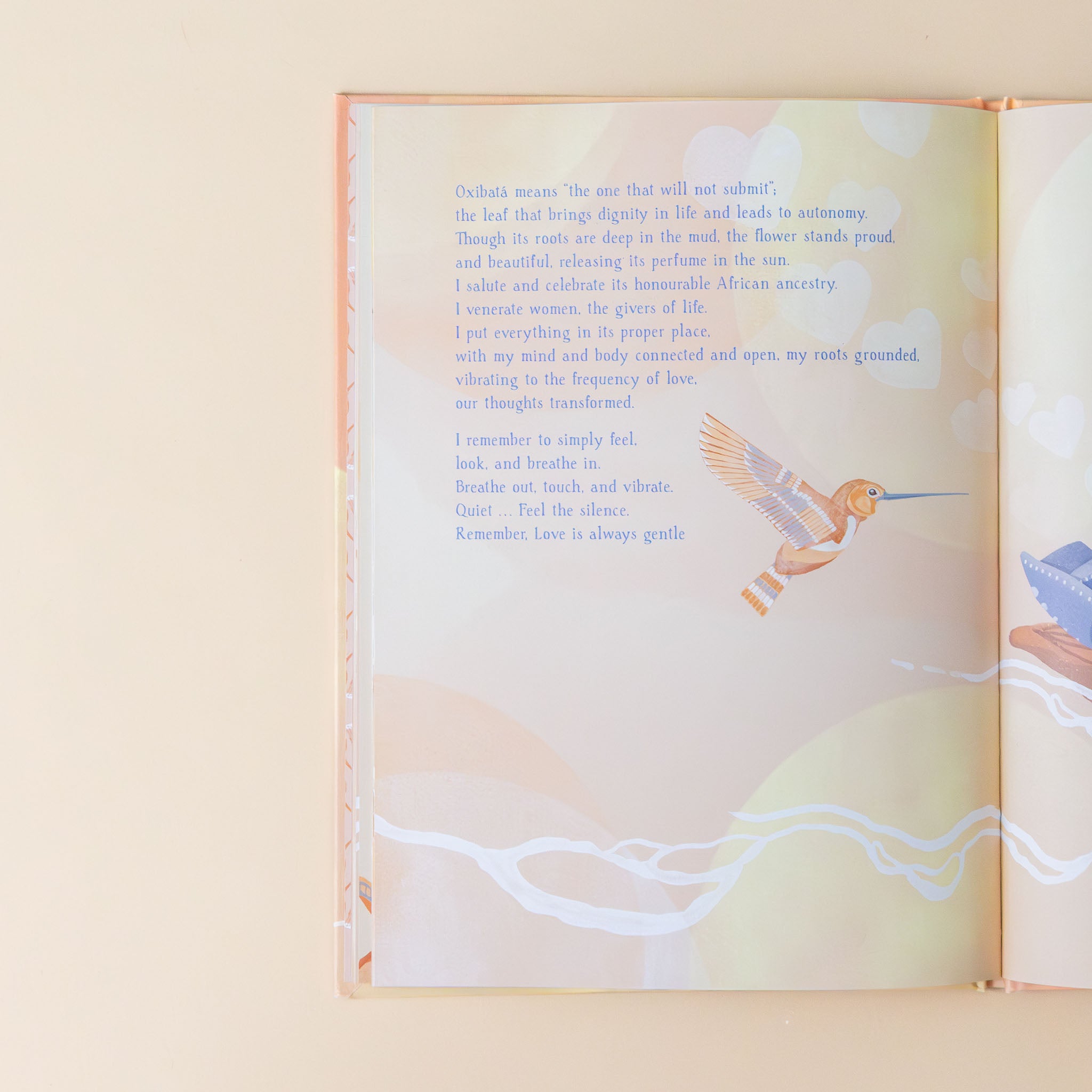a-little-guide-to-meditation-text-and-a-floating-hummingbird-soft-illustration