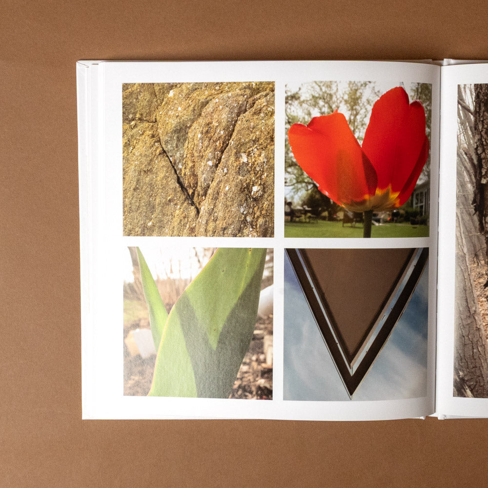alphabet-everywhere Open book with V images of a red tulip, textured rock, and other natural scenes on a brown background.