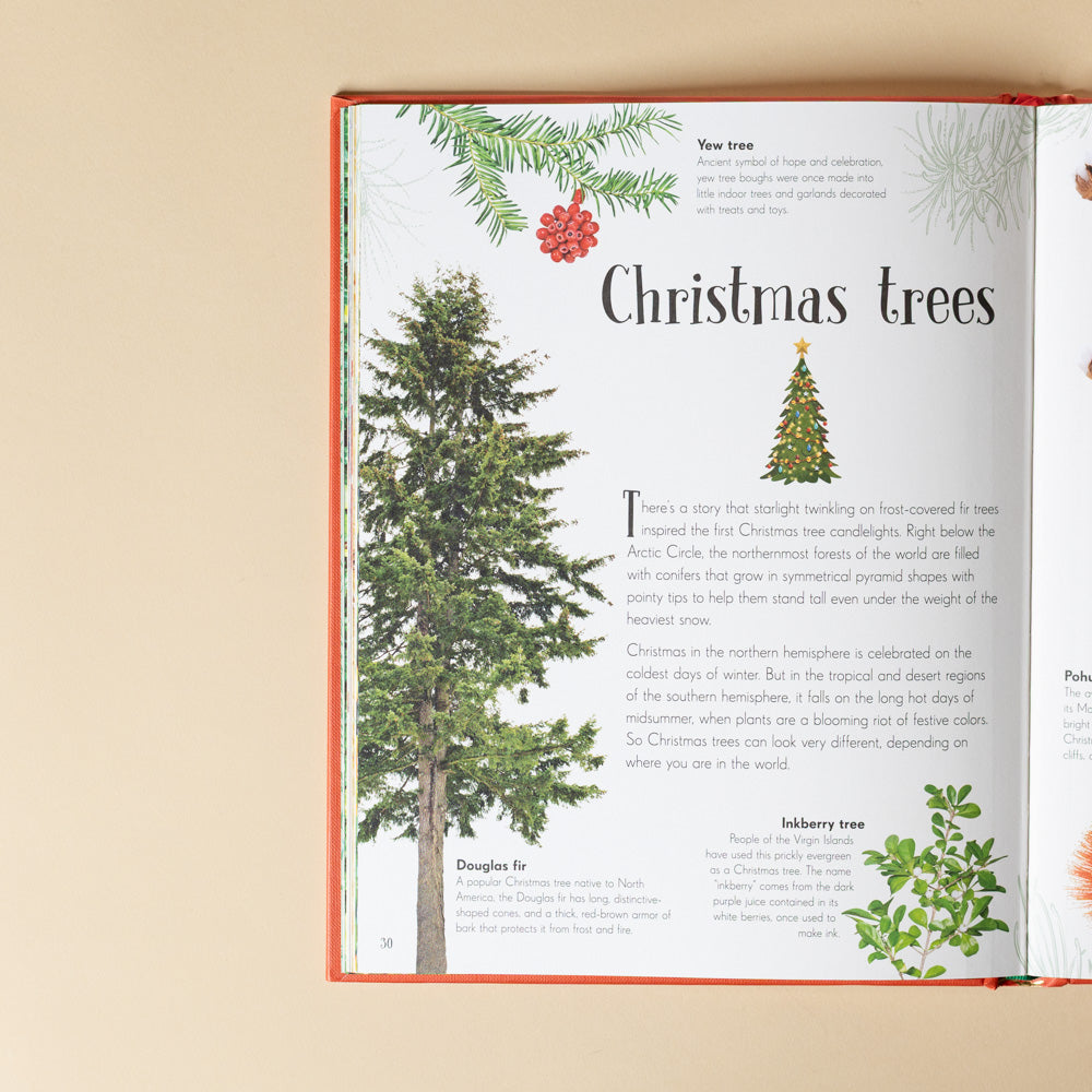 an-anthology-of-christmas-book Open book showing a page about Christmas trees with illustrations and text.
