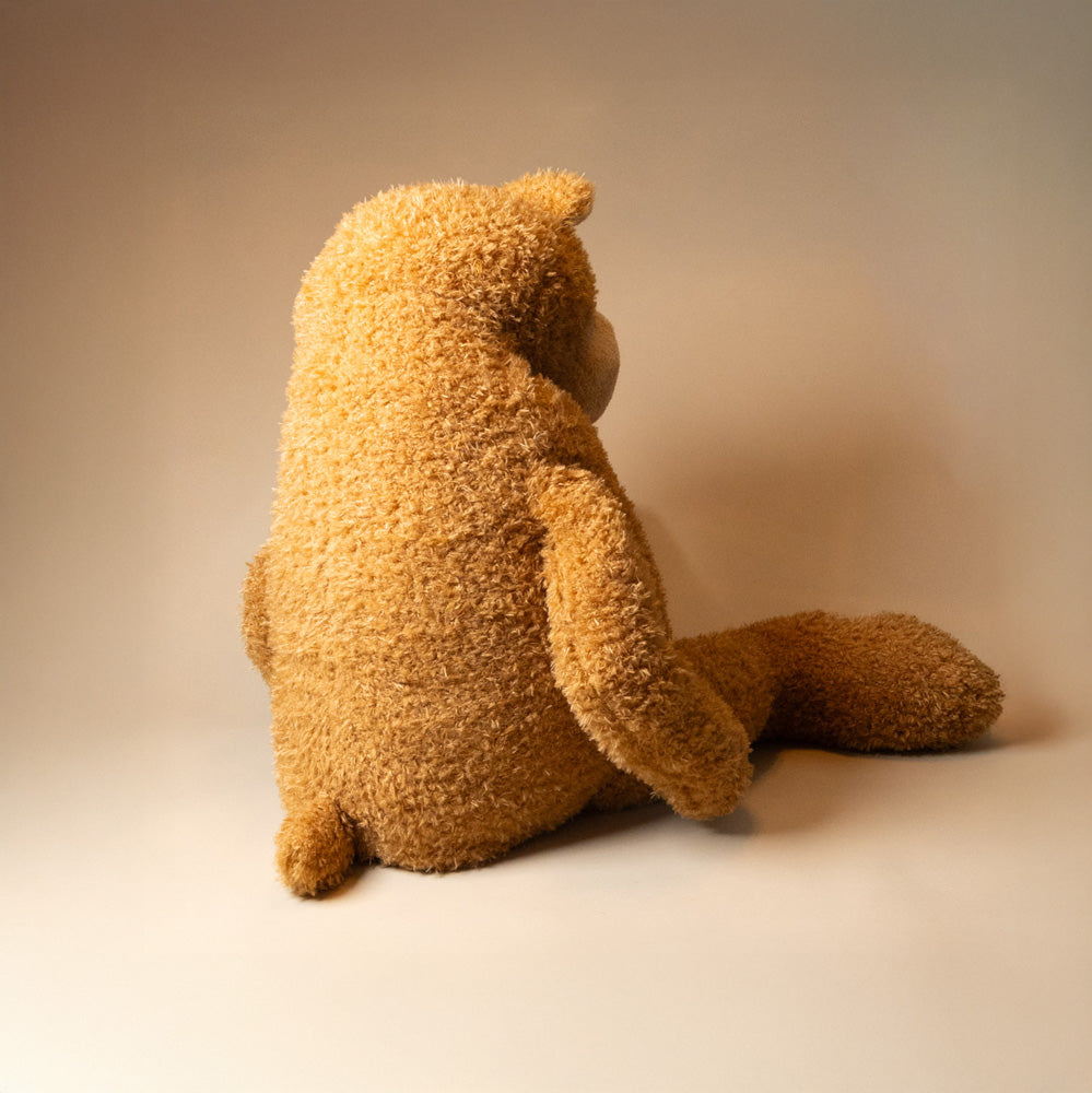 anatole-the-bear-jumbo-back