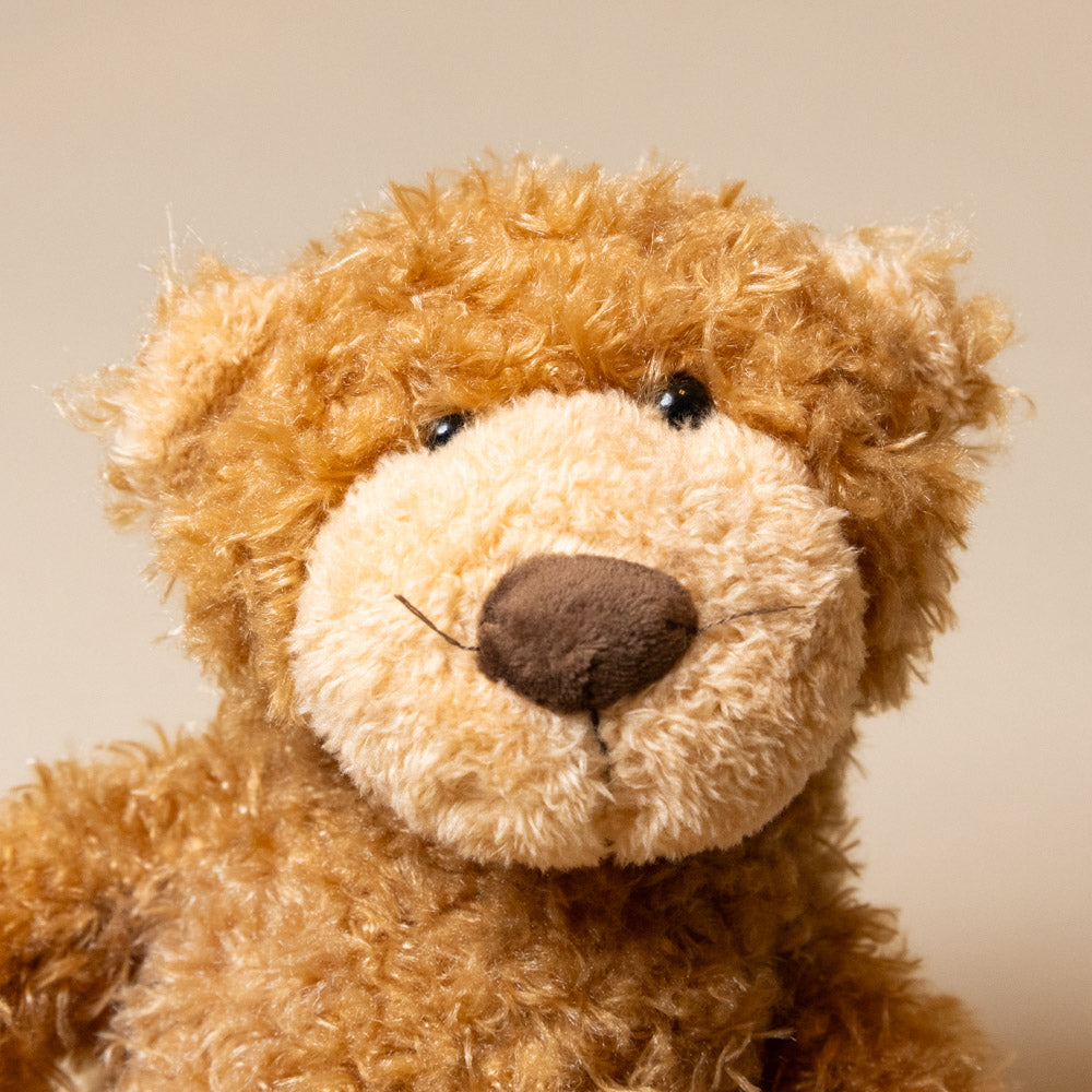 anatole-the-bear-small-face